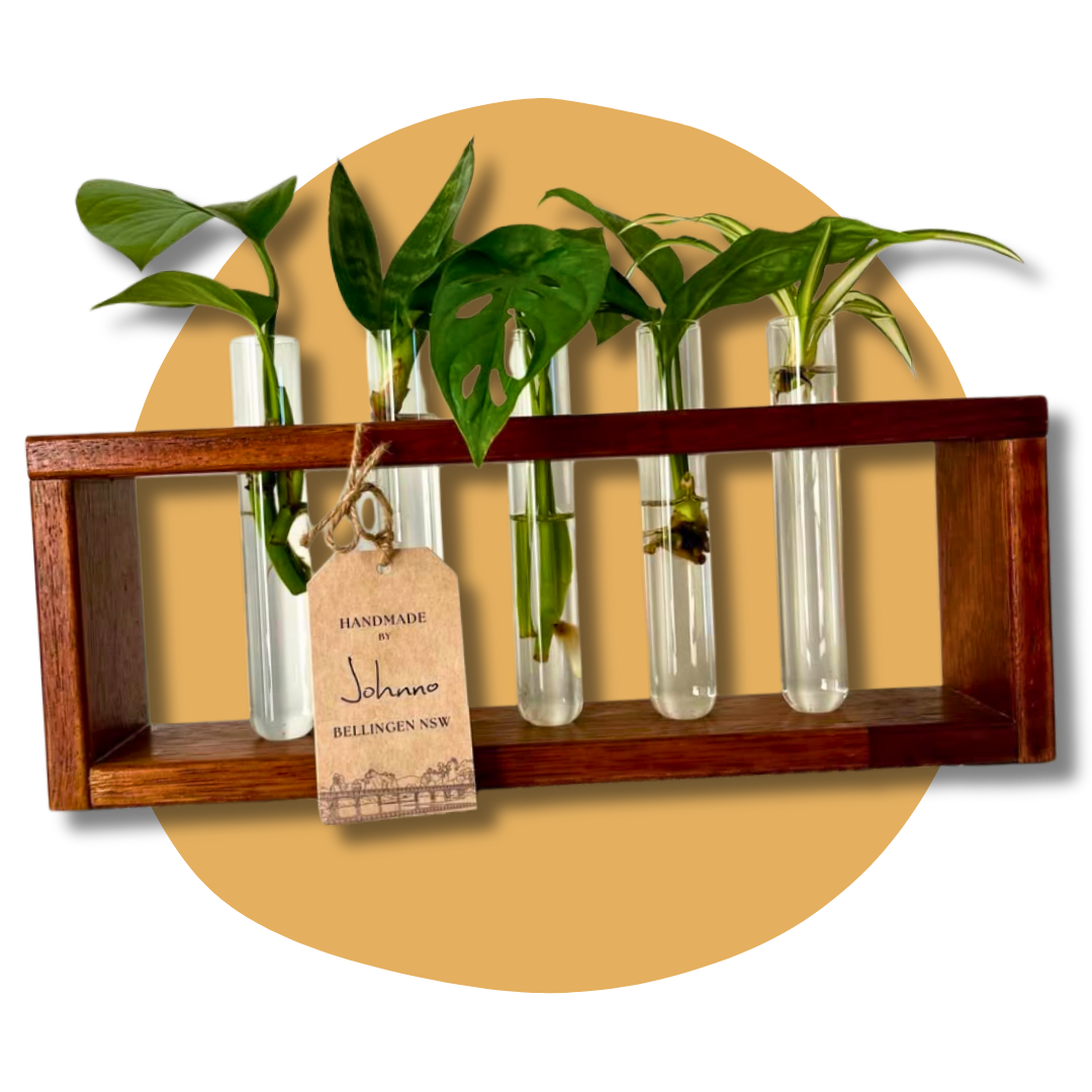 handmade woden propagation station five glass test tubes australian made.png