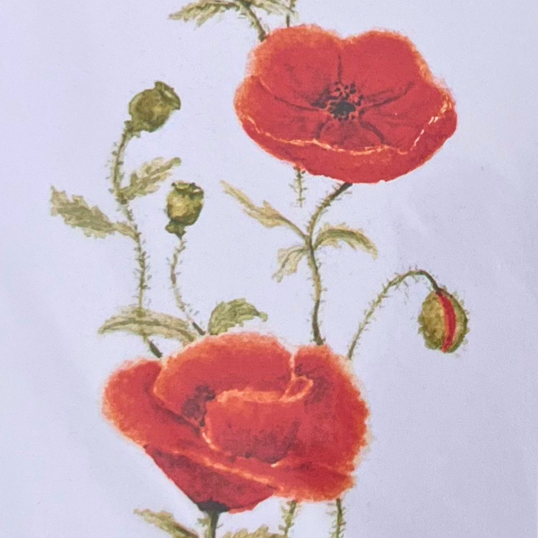Blank Card_ Red Poppies (3).png