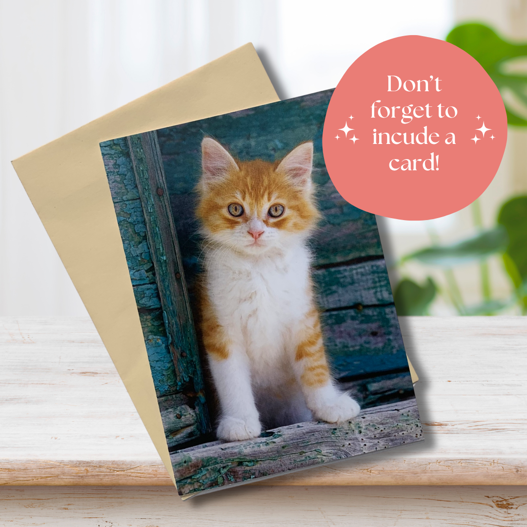 Add a card.png