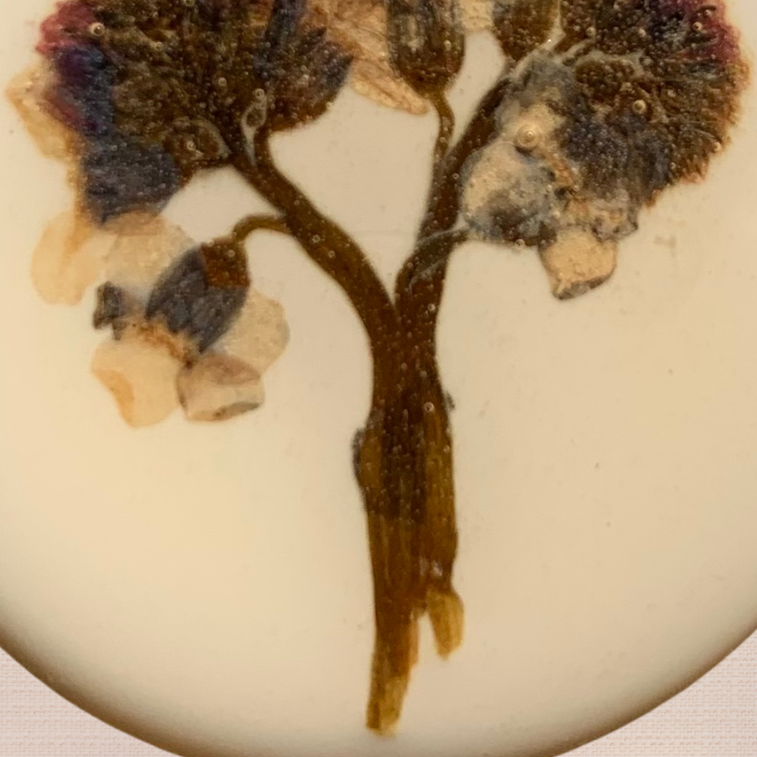 Forever Flora_ Pressed Flower Brooch (6).png