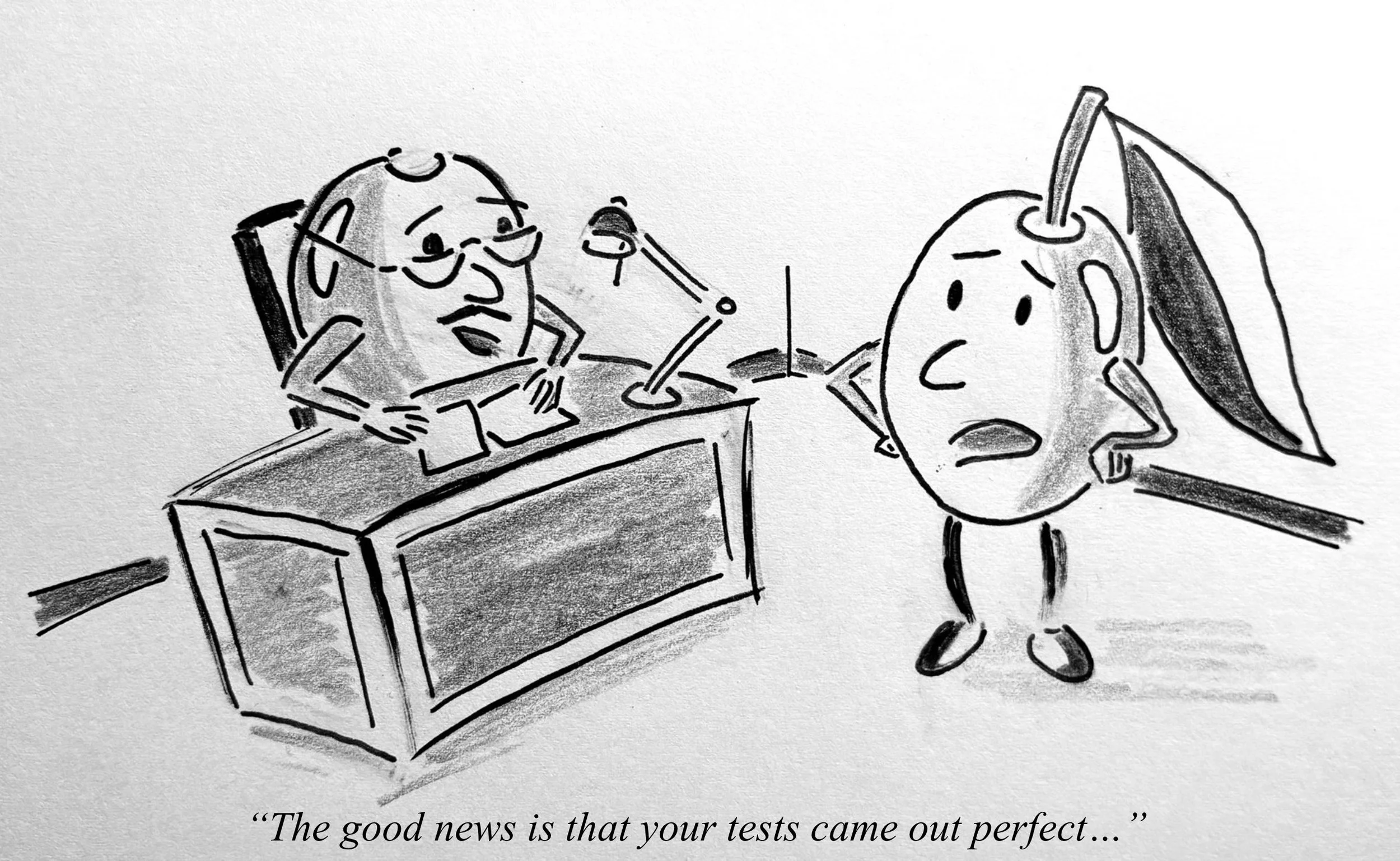 An olive ready to be milled