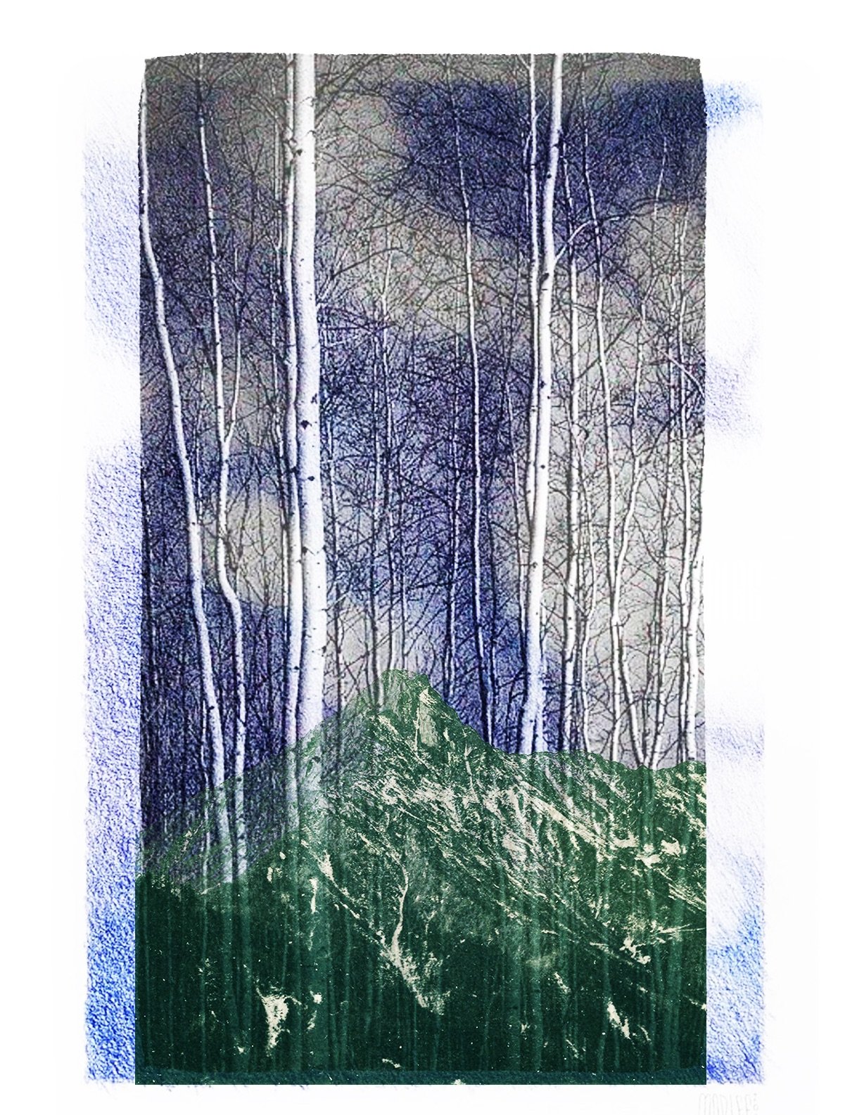 Forest.jpeg