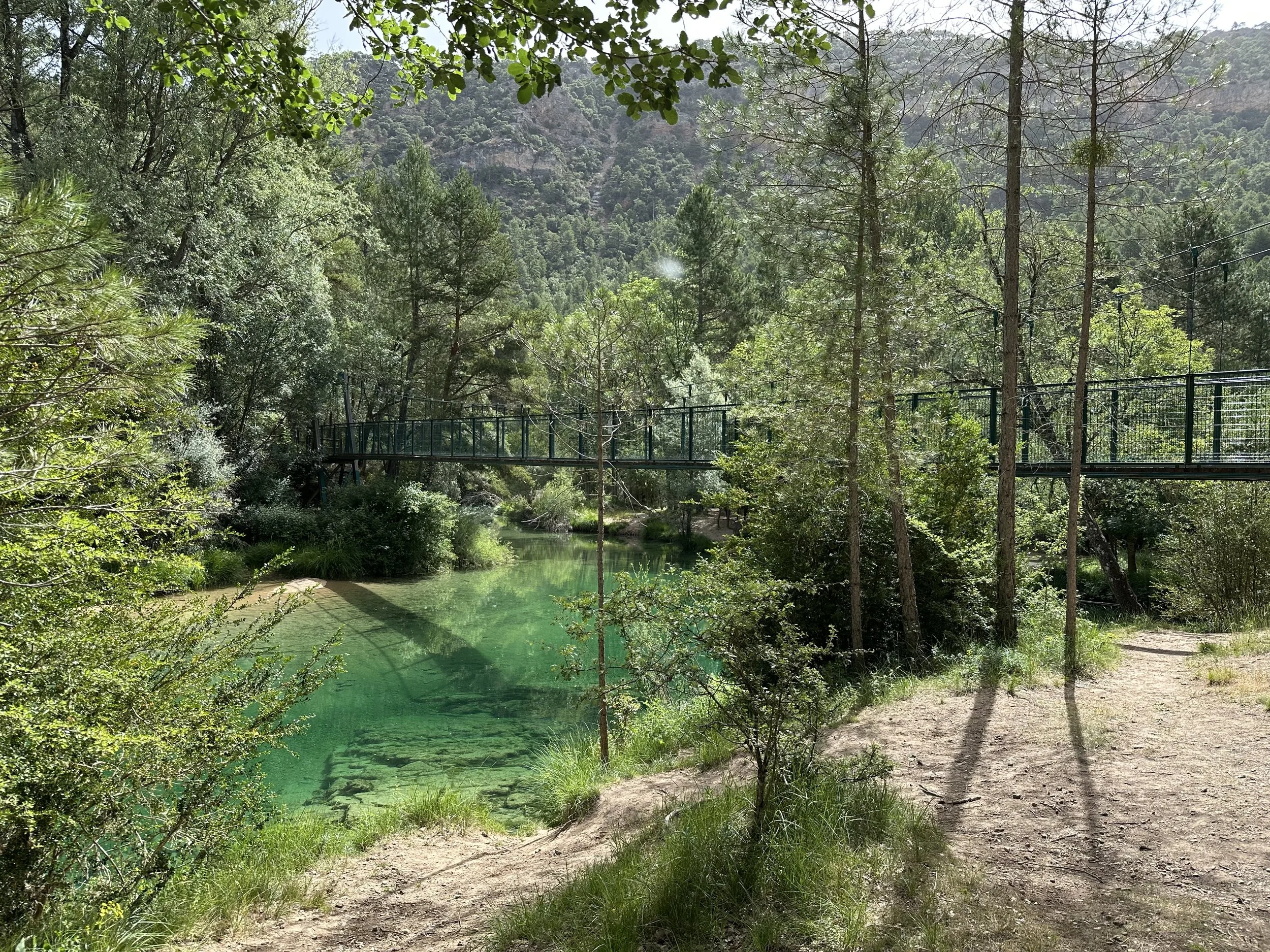 IMG_6318.jpeg
