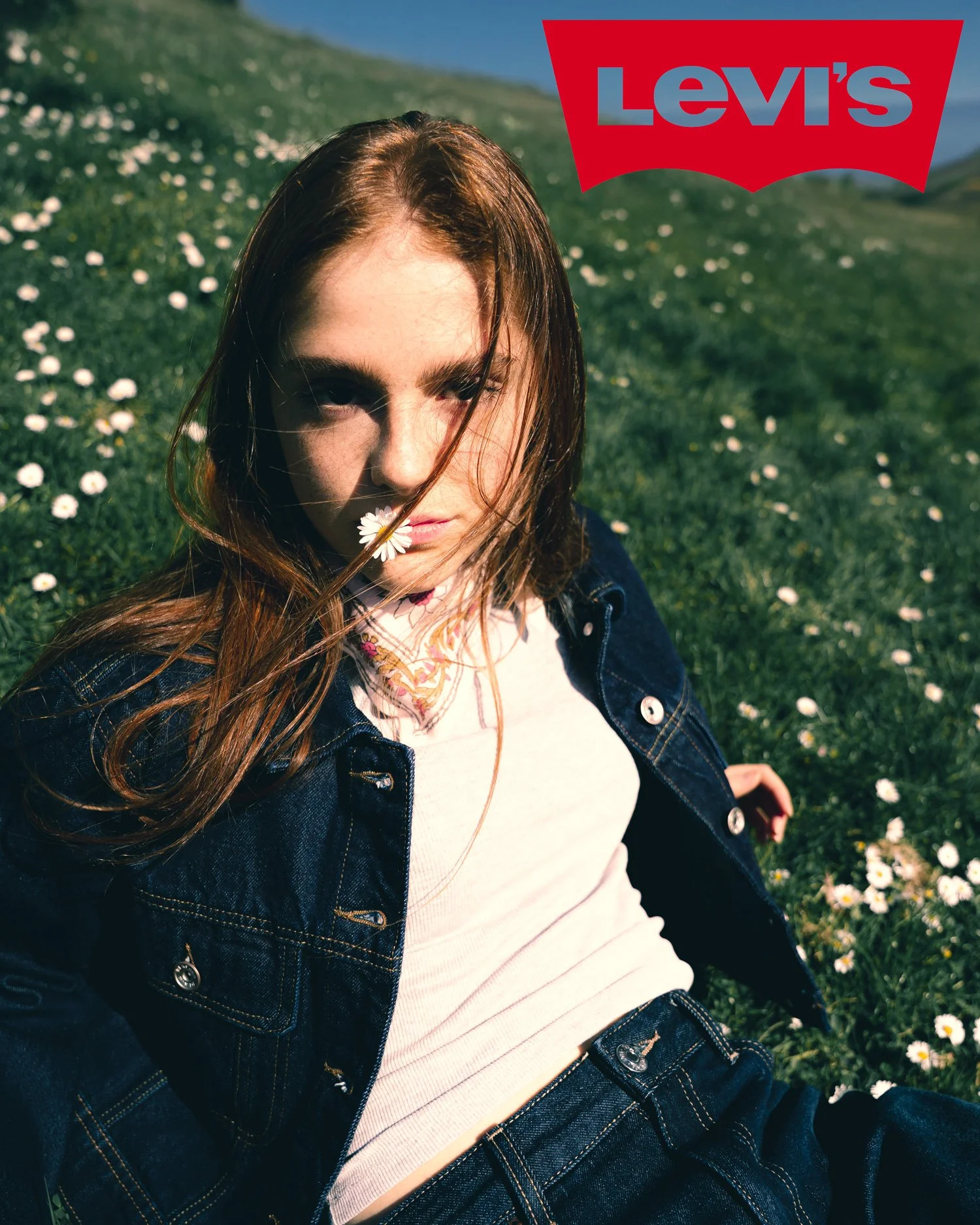 levis.jpg