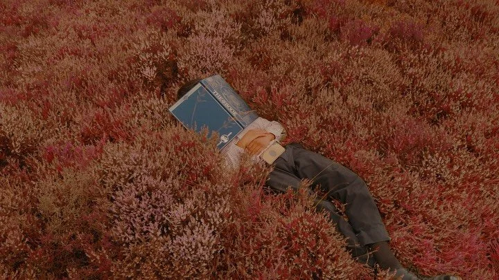 I need new book recommendations please 

Shot on the Sony A7siii and Color graded with The Bault Powergrades in Davinci resolve