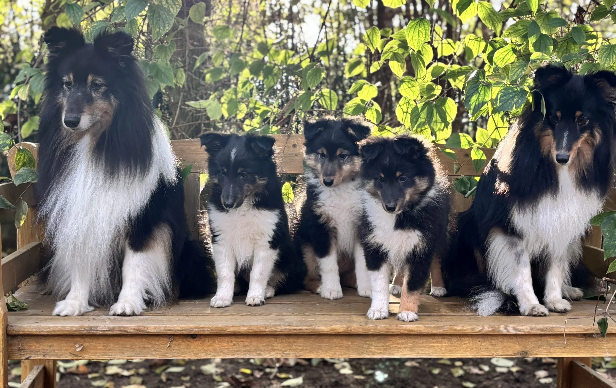 Mats und Fashion mit dem A-Wurf