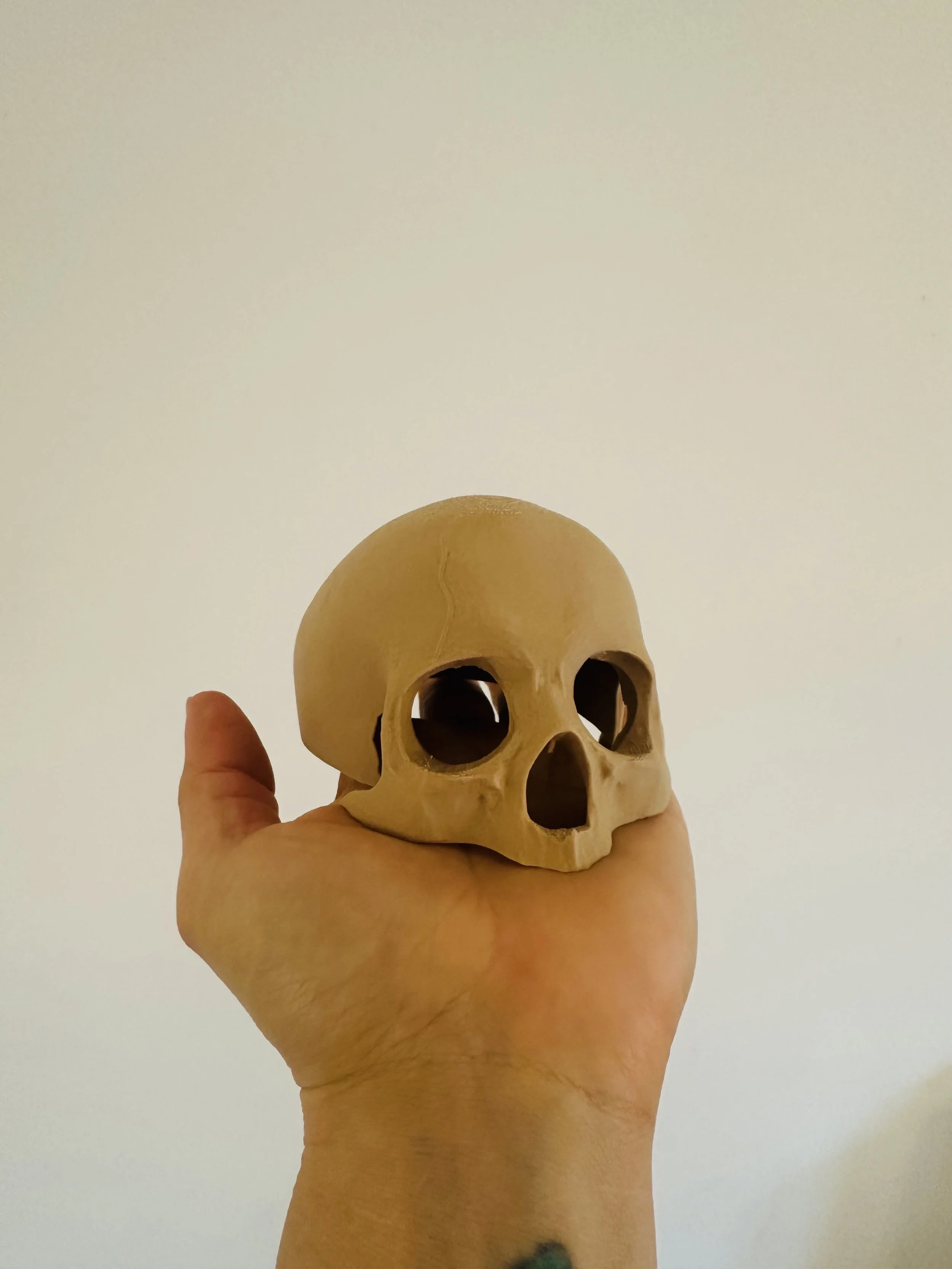 3. Totenkopf für Terrarium