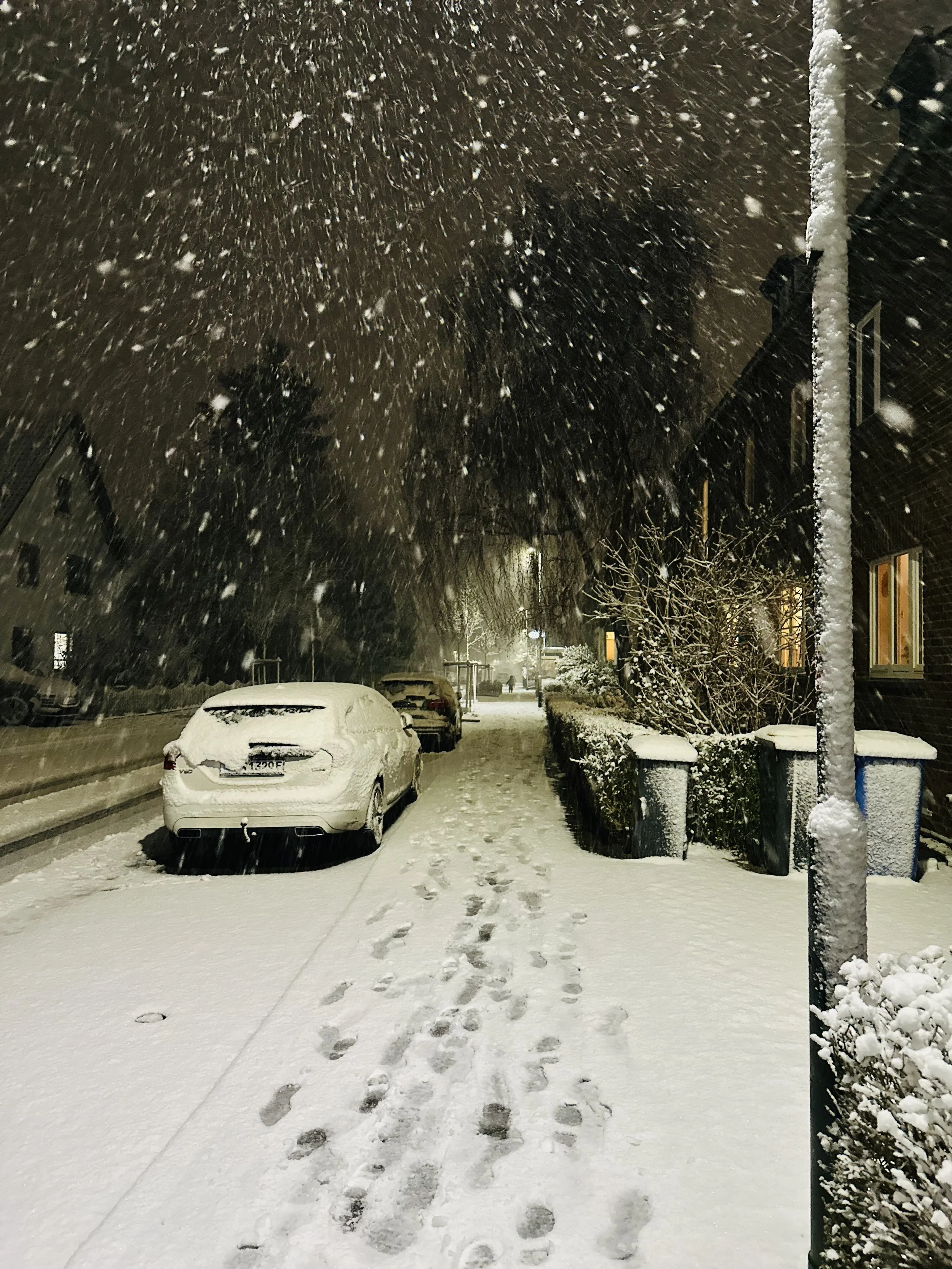 6. Karneval im Schnee