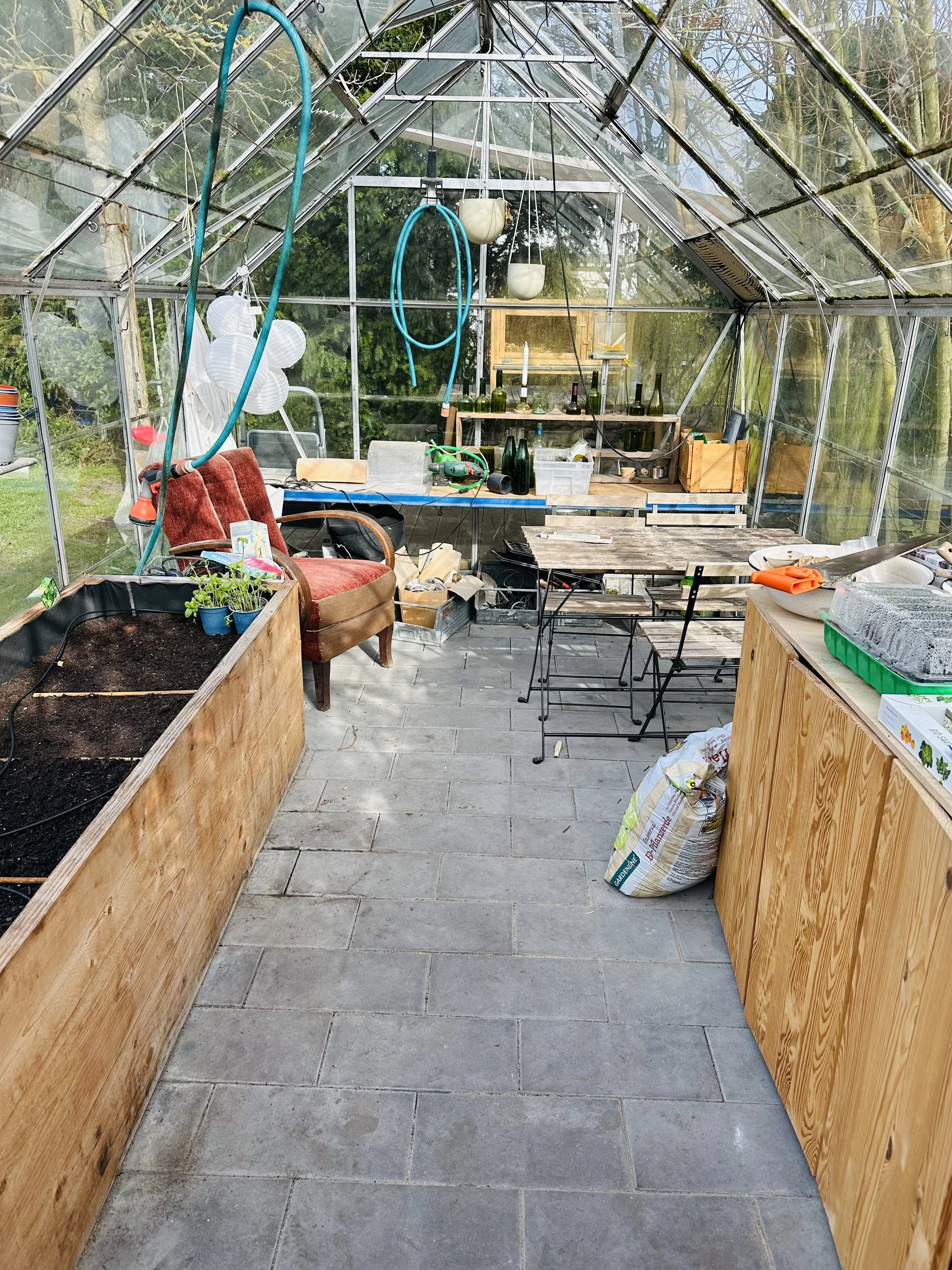Aktueller Blick ins Gewächshaus 