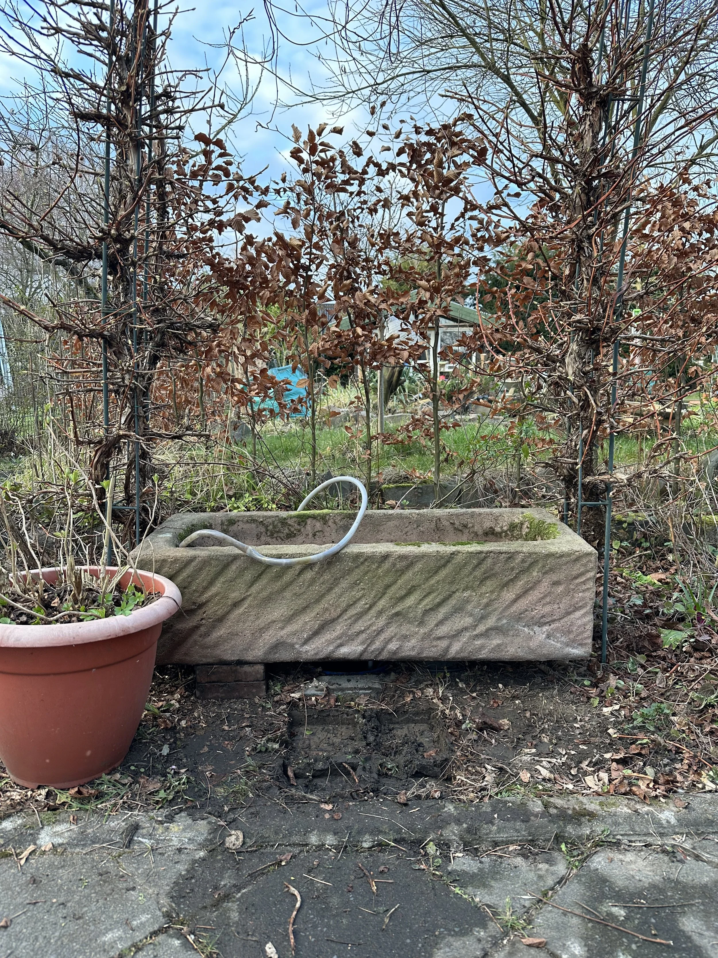 Sandsteintrog vorher