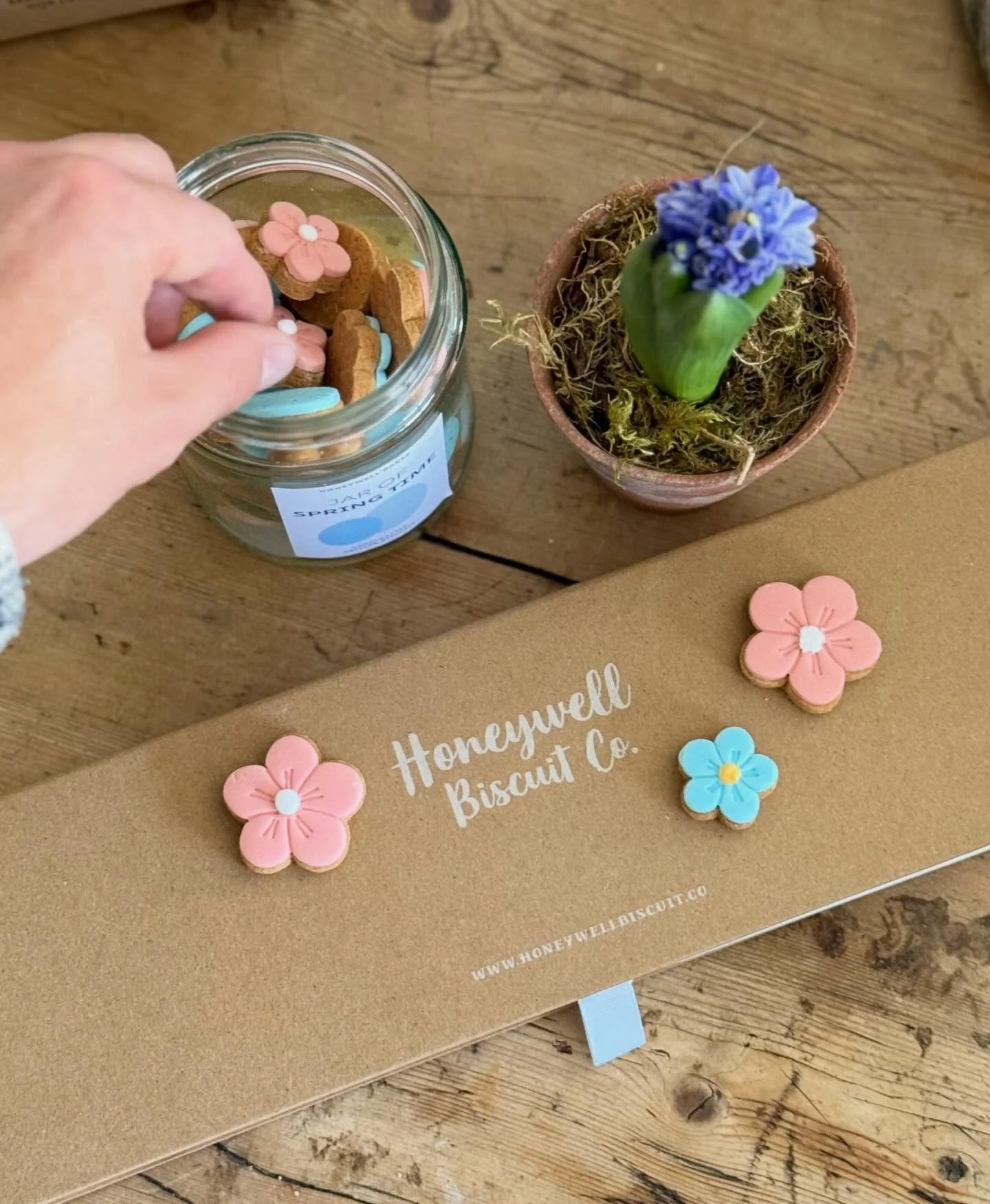 JOY in biscuit form 🐰🐣👇

Well getting back home from holiday wasn&rsquo;t too bad when I arrived home to find that Spring had well and truly arrived! From Spring sunshine and gorgeous bulbs blooming, to this package of yummy hand iced Easter theme