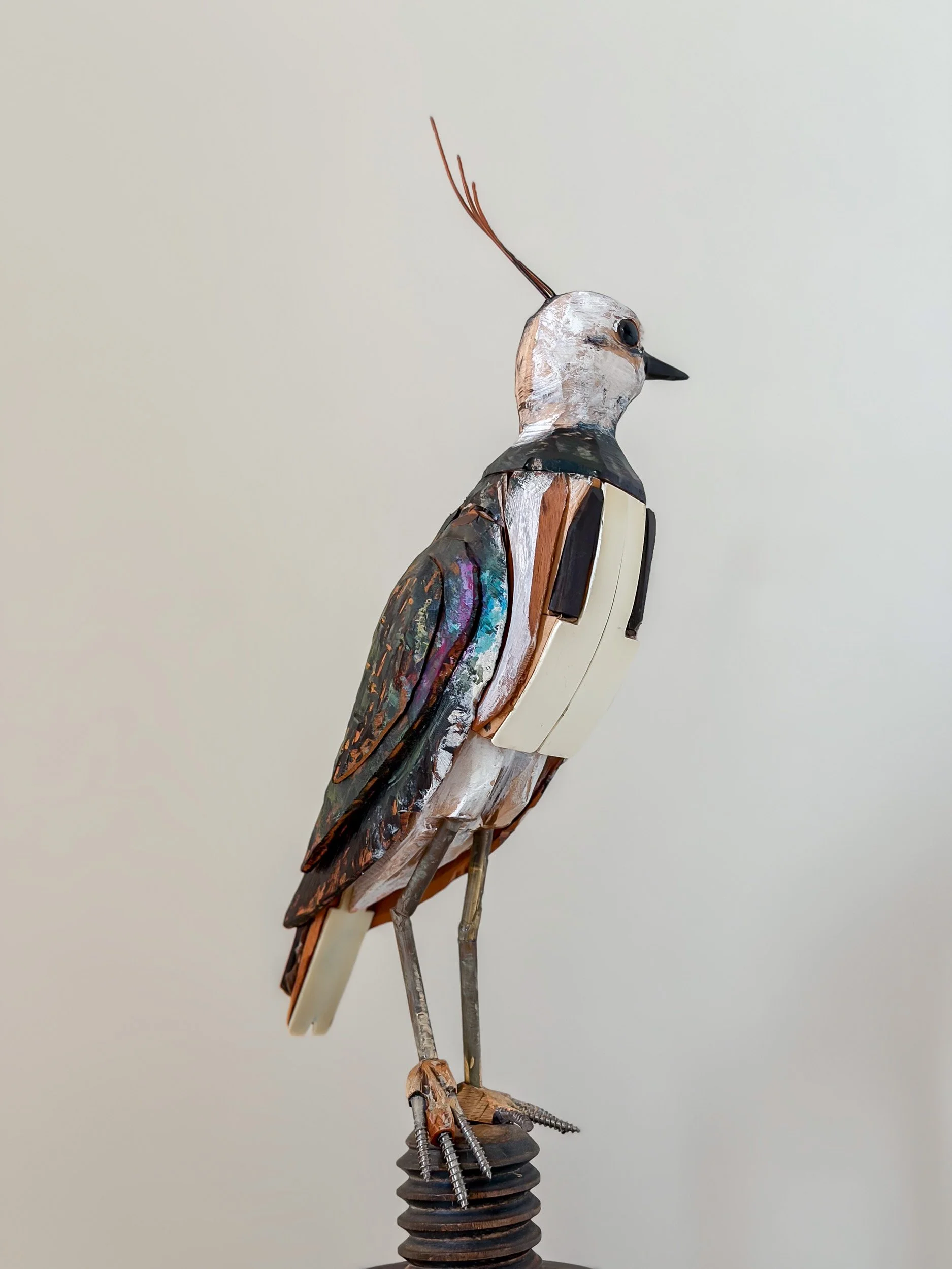 Northern Lapwing sculpture made from piano parts, shown in full on perch.