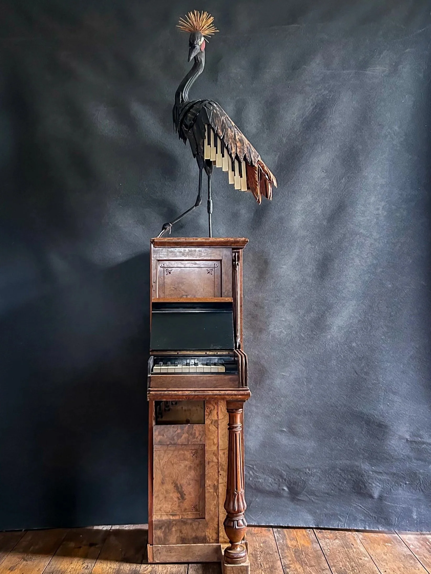 Black crowned crane scupture on quarter piano.