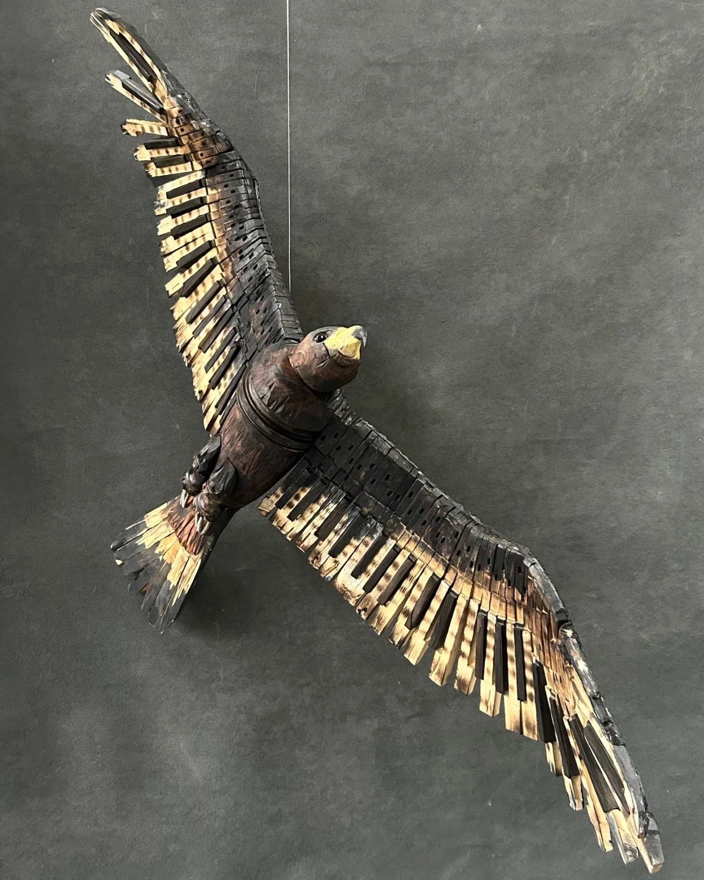 black eagle black background 2.JPG