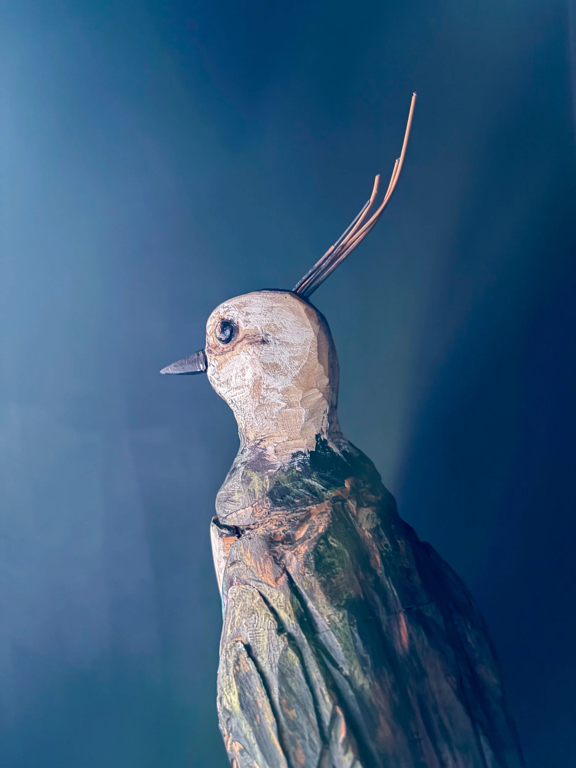 Northern Lapwing sculpture made from piano parts, shown with head from behind.