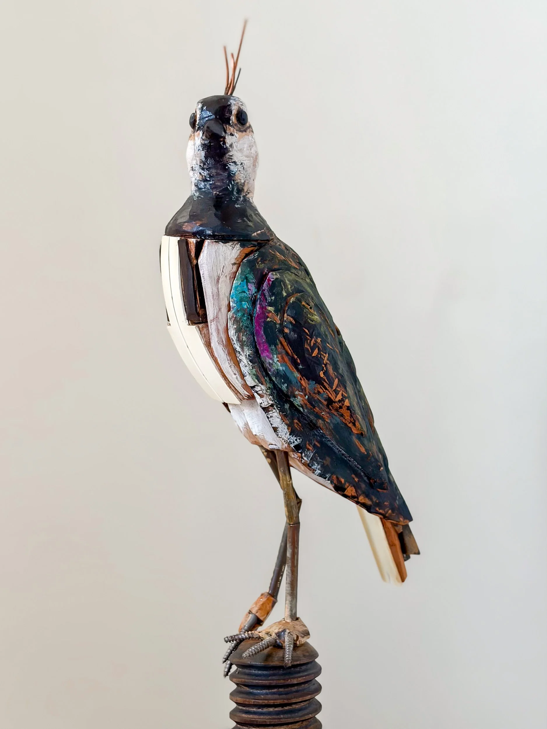 Northern Lapwing sculpture made from piano parts, shown looking straight on.