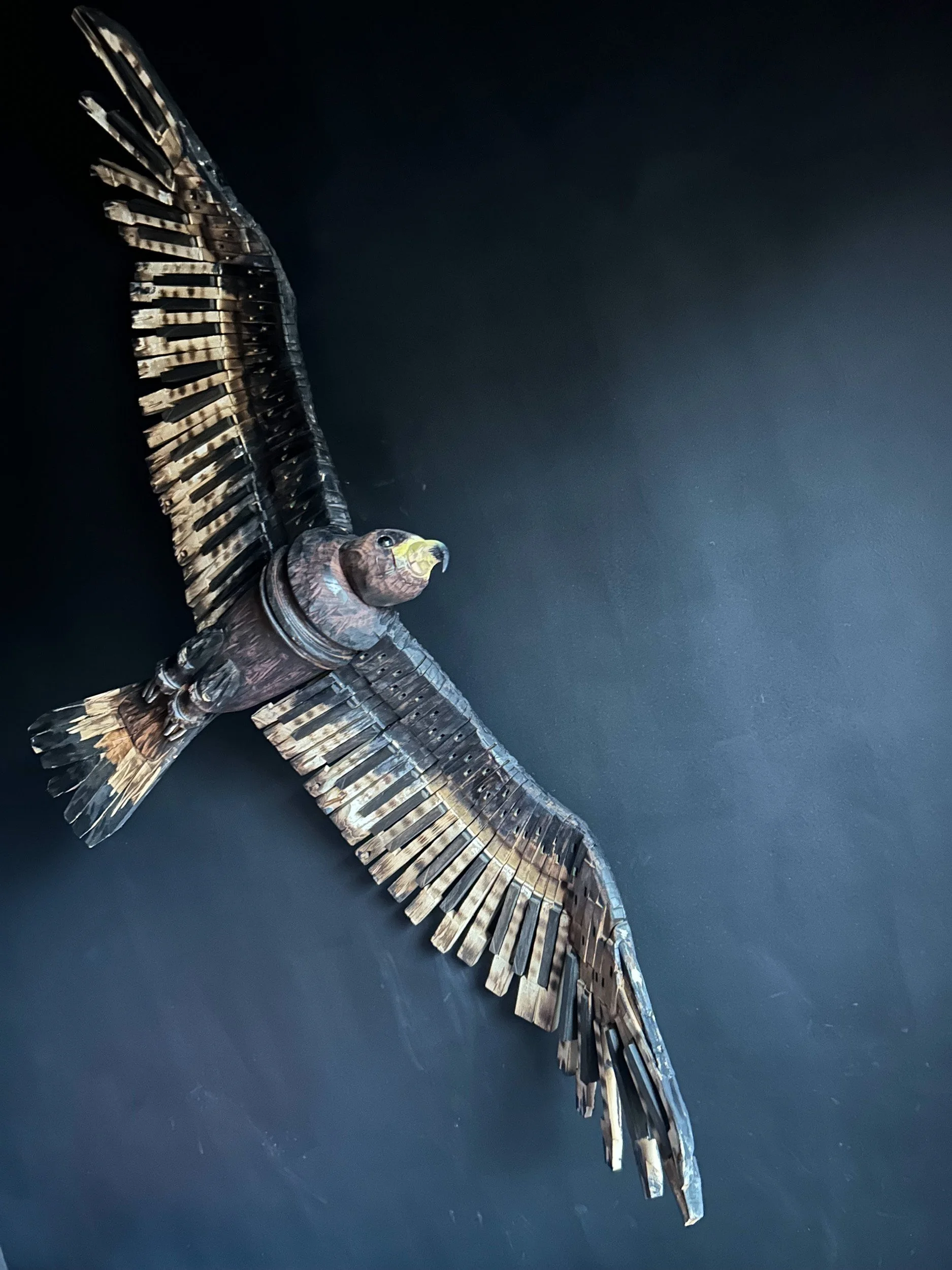 African Black Eagle sculpture.