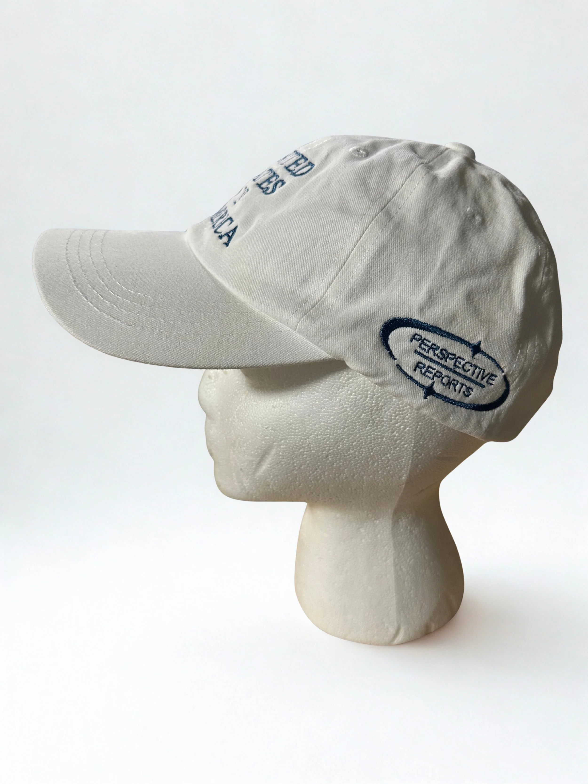 perspec_hat image 1.jpg