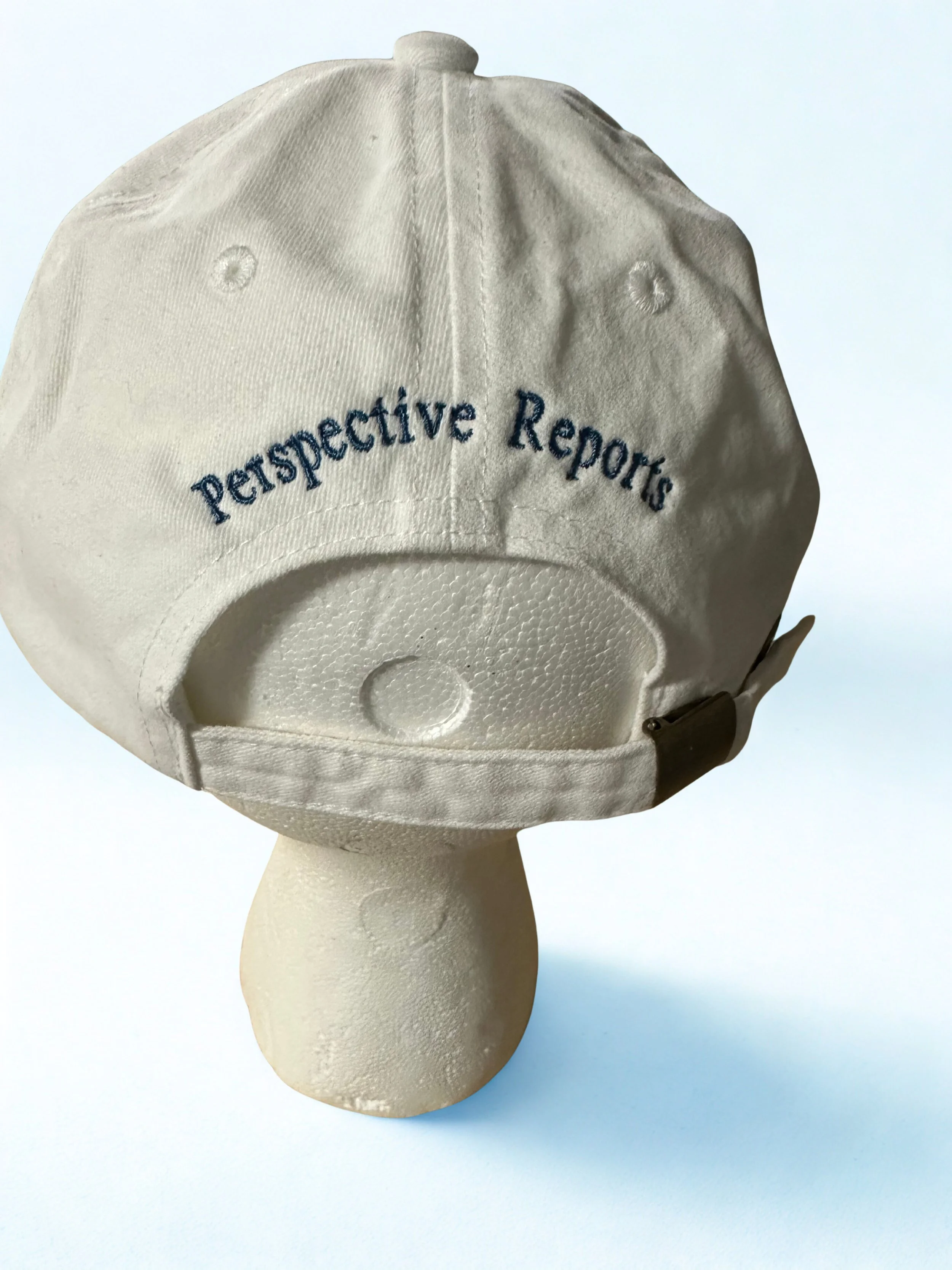 perspective_hat_image.jpg