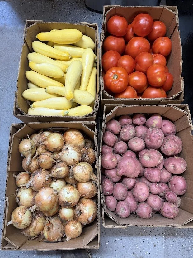 Four cardboard boxes of produce, including yellow squash, tomatoes, yellow onions, and red potatoes.