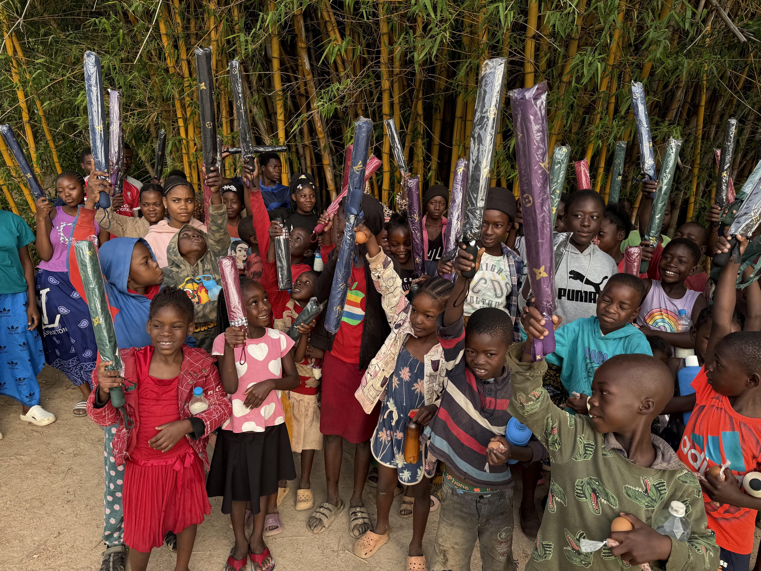 Umbrella Project 2025