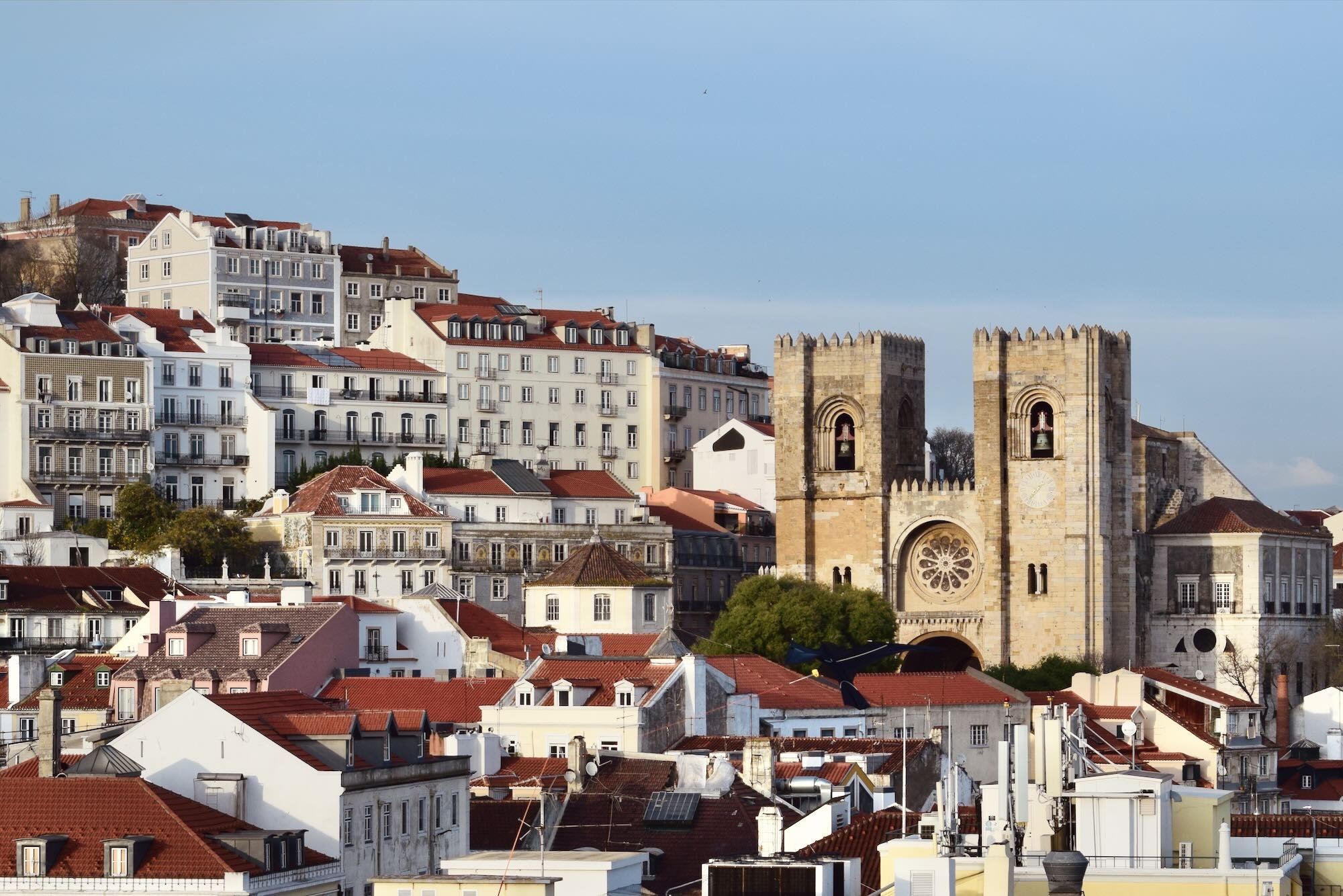 POLIS10_NO PORTO