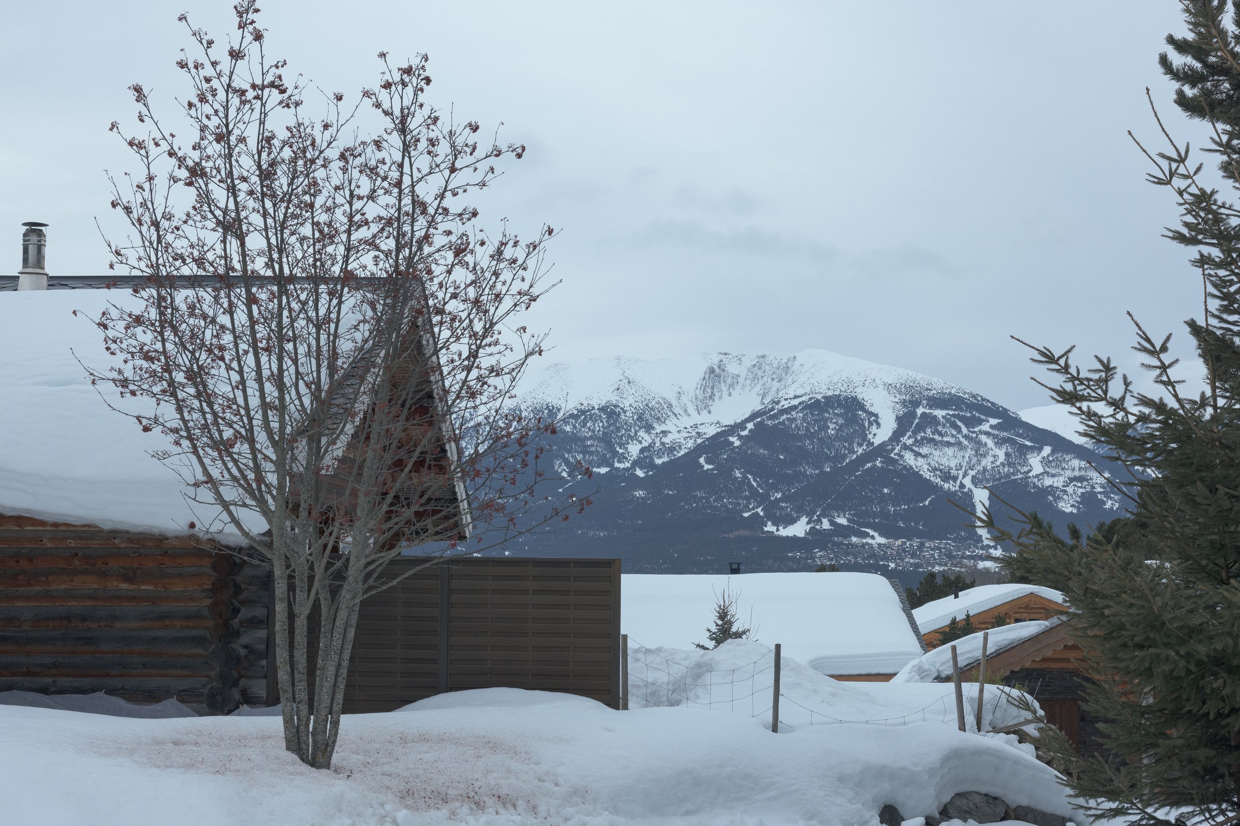 Font Romeu 2026-66.jpg