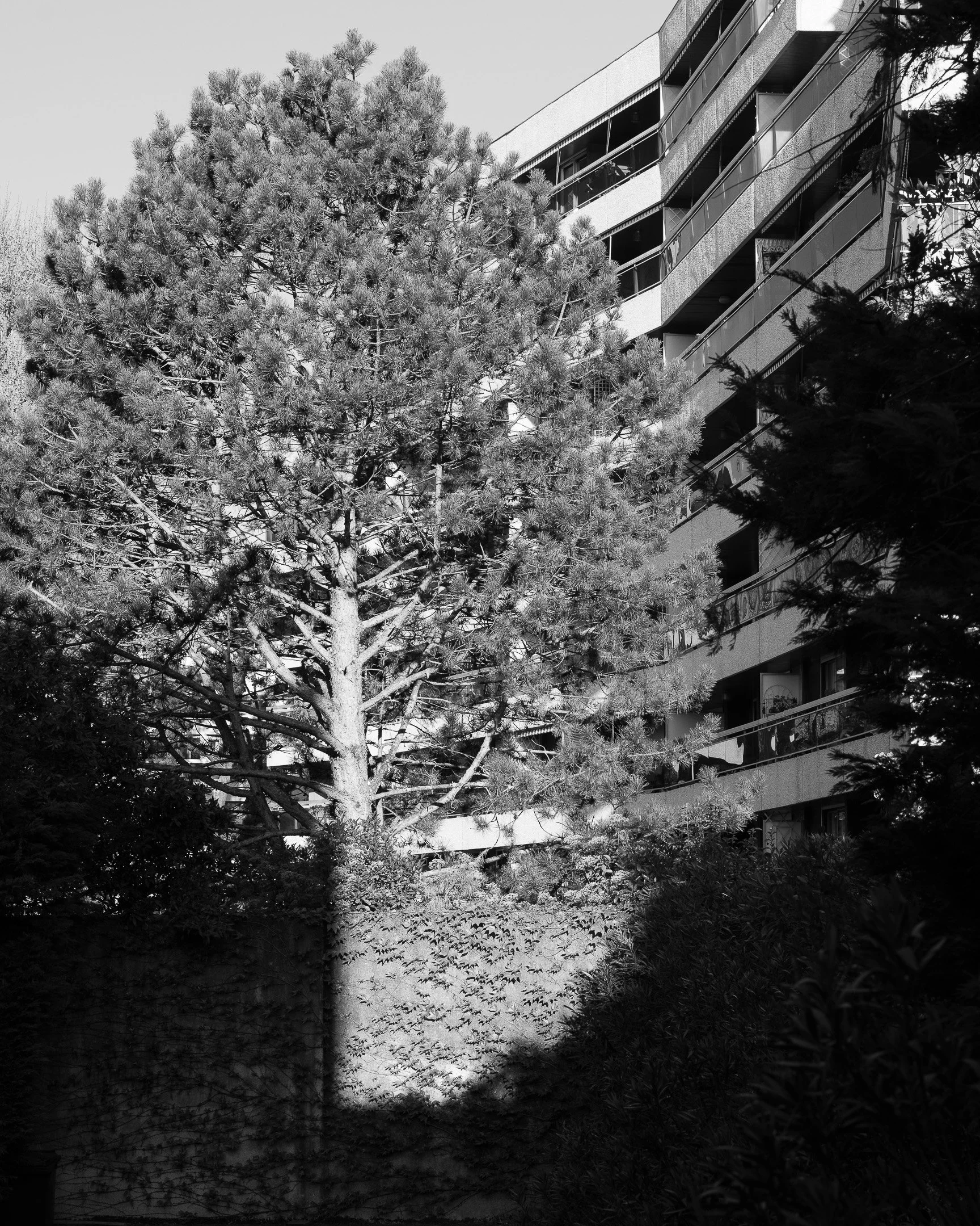 IG - Life 2025-9.jpg