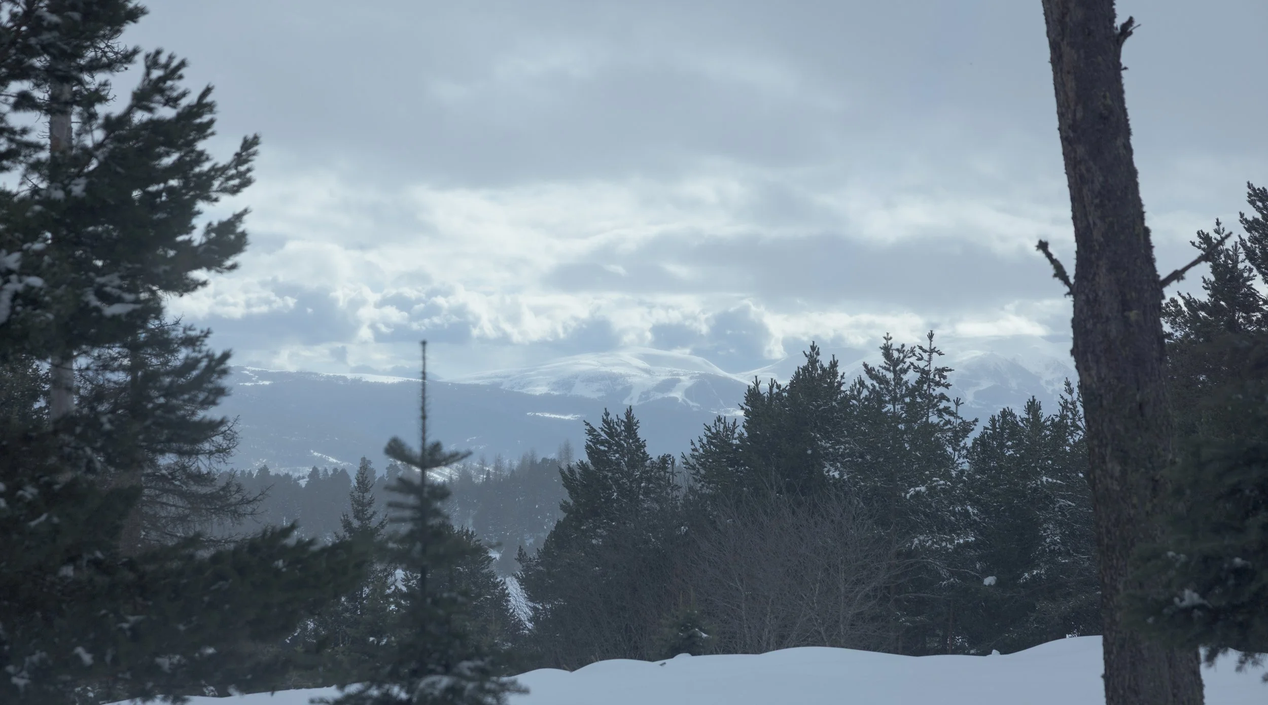 Font Romeu 2026-5.jpg