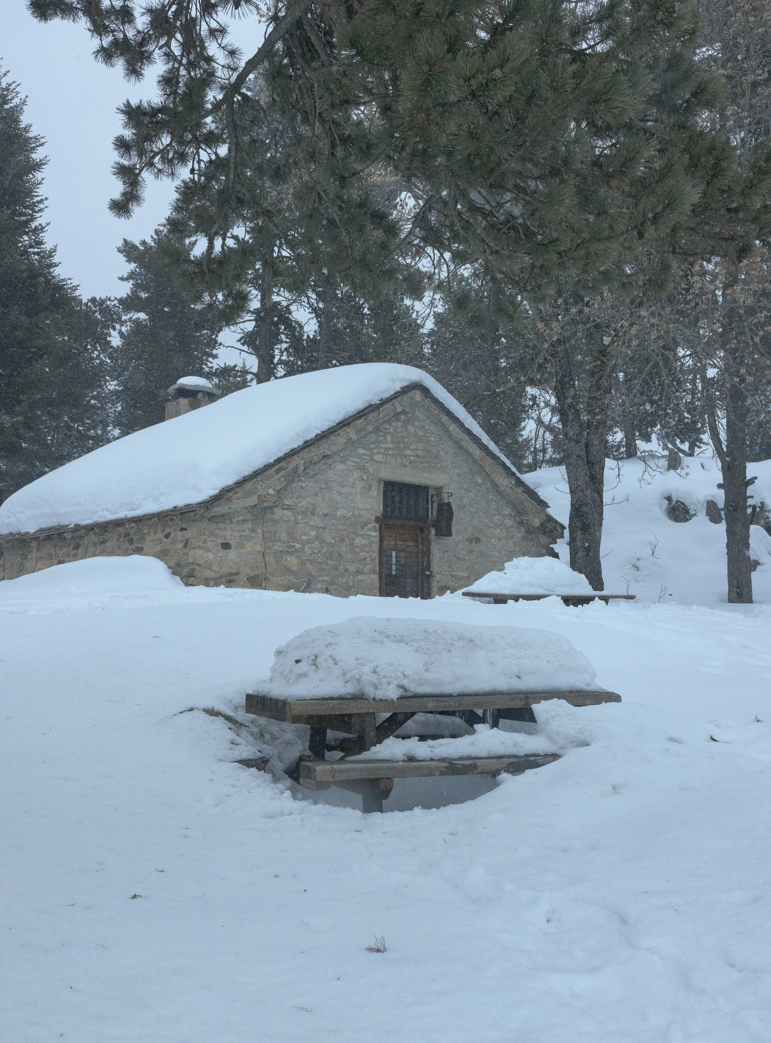 Font Romeu 2026-92.jpg