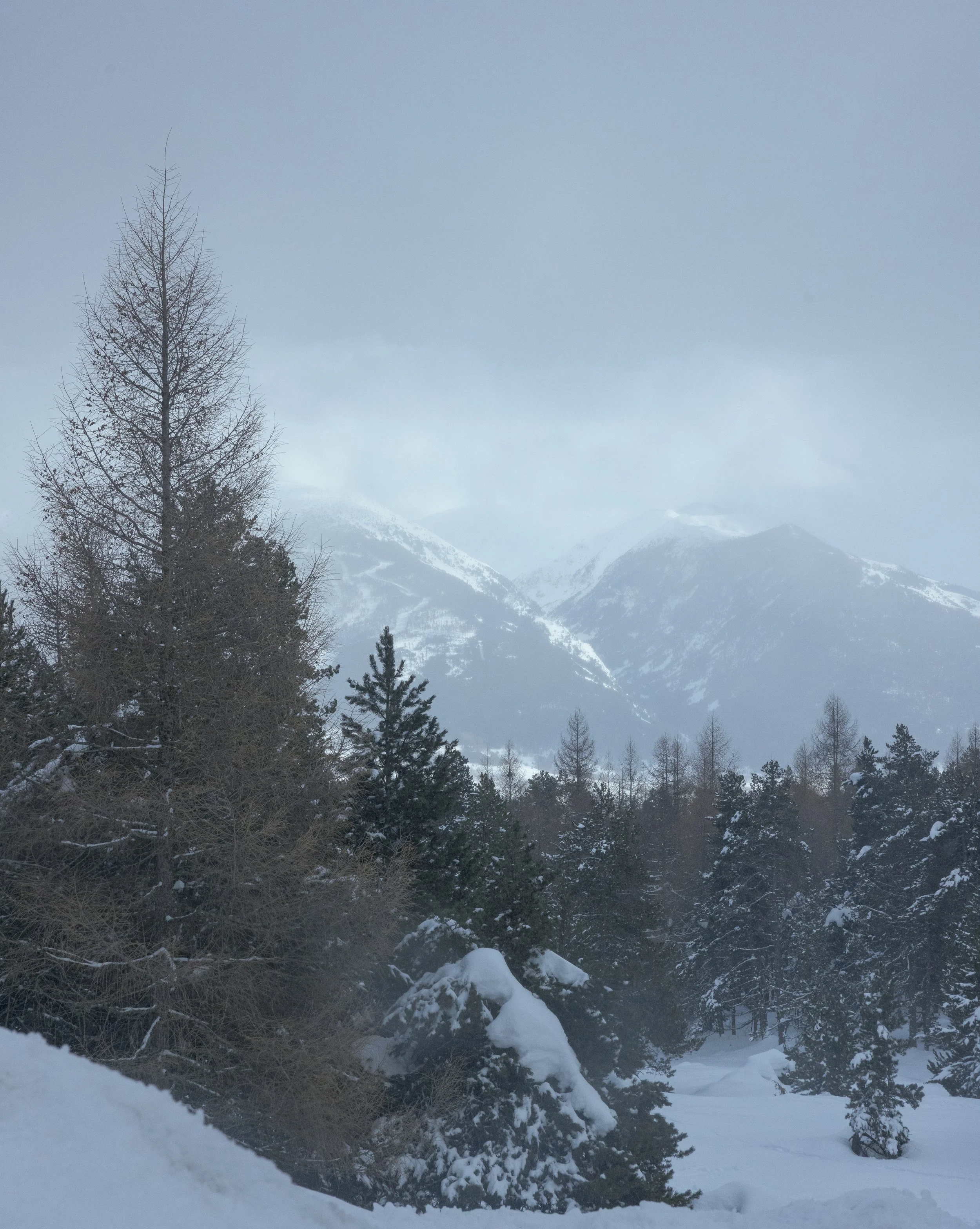 Font Romeu 2026-2.jpg