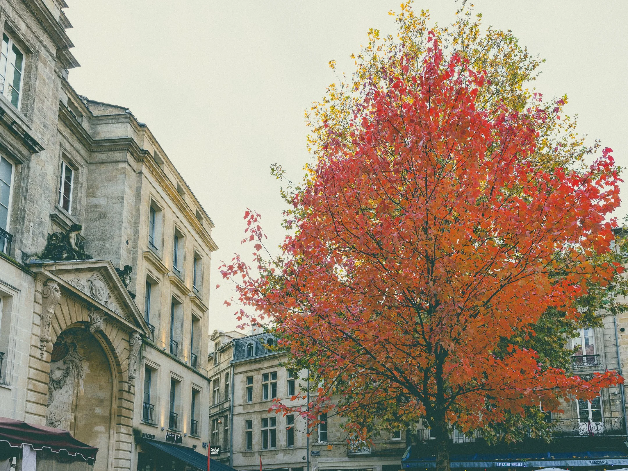 IG - SORTIE DEC 2025-2.jpg