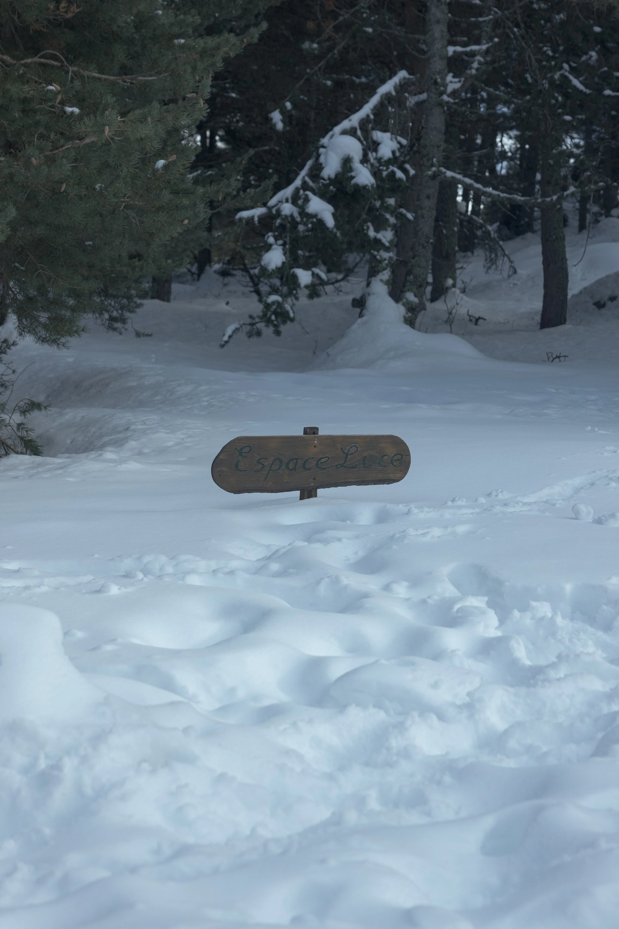 Font Romeu 2026-35.jpg