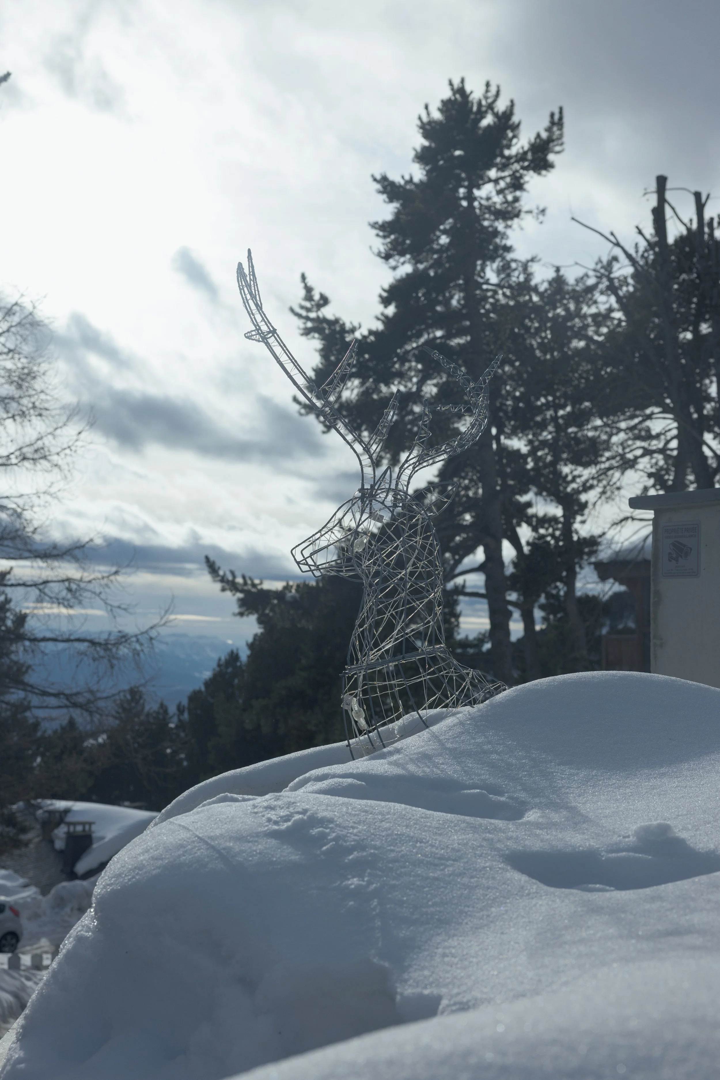 Font Romeu 2026-45.jpg