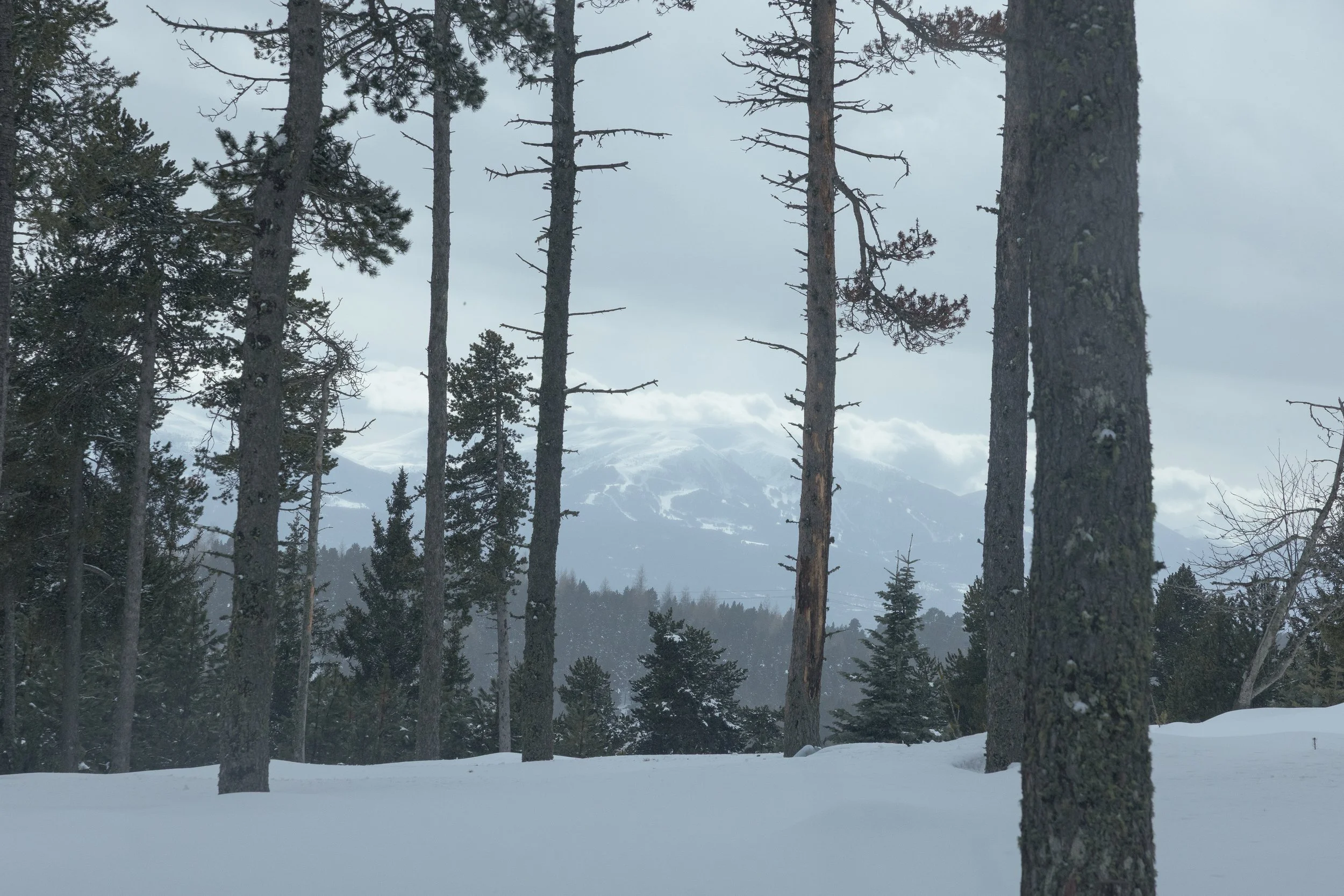 Font Romeu 2026-18.jpg