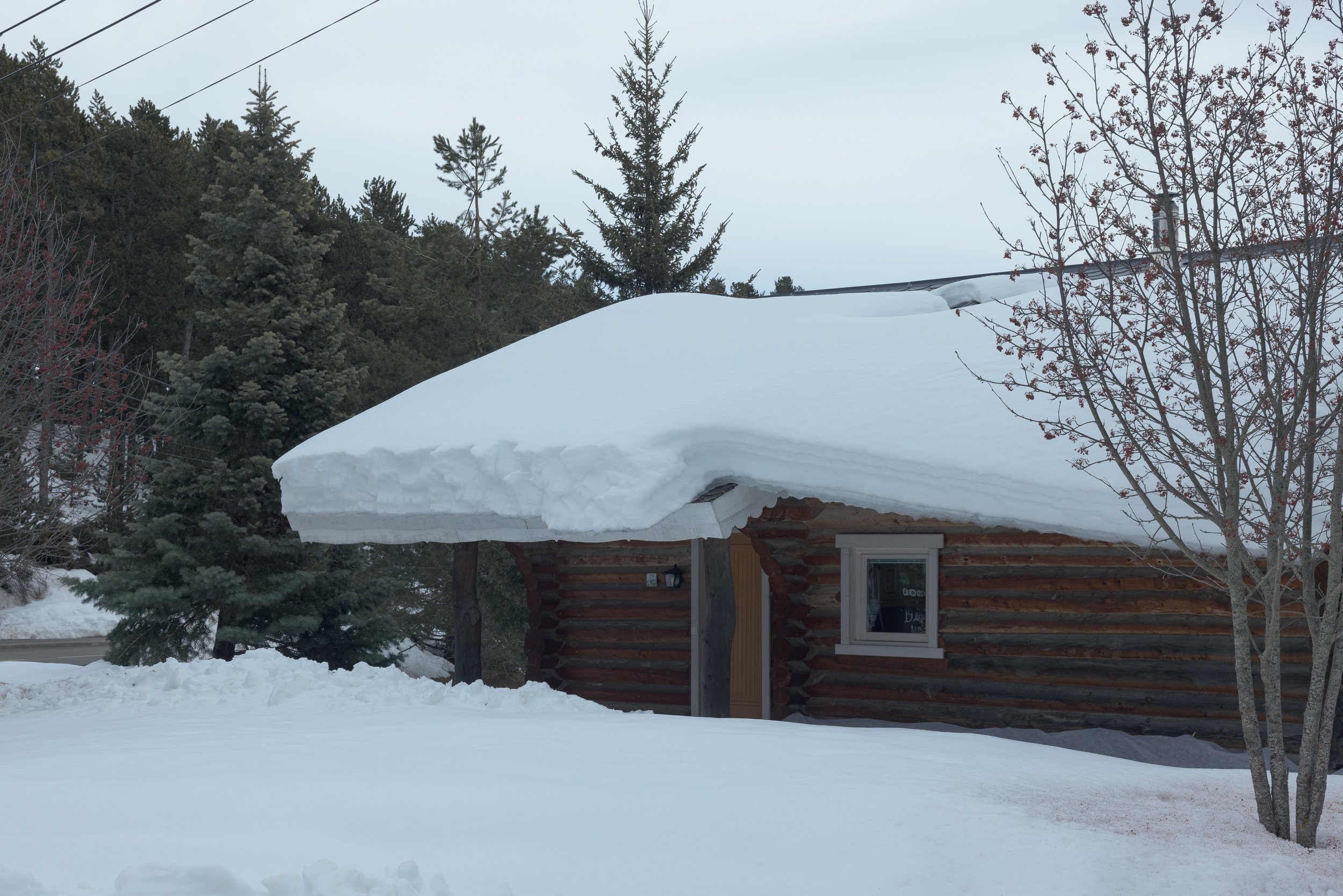 Font Romeu 2026-65.jpg