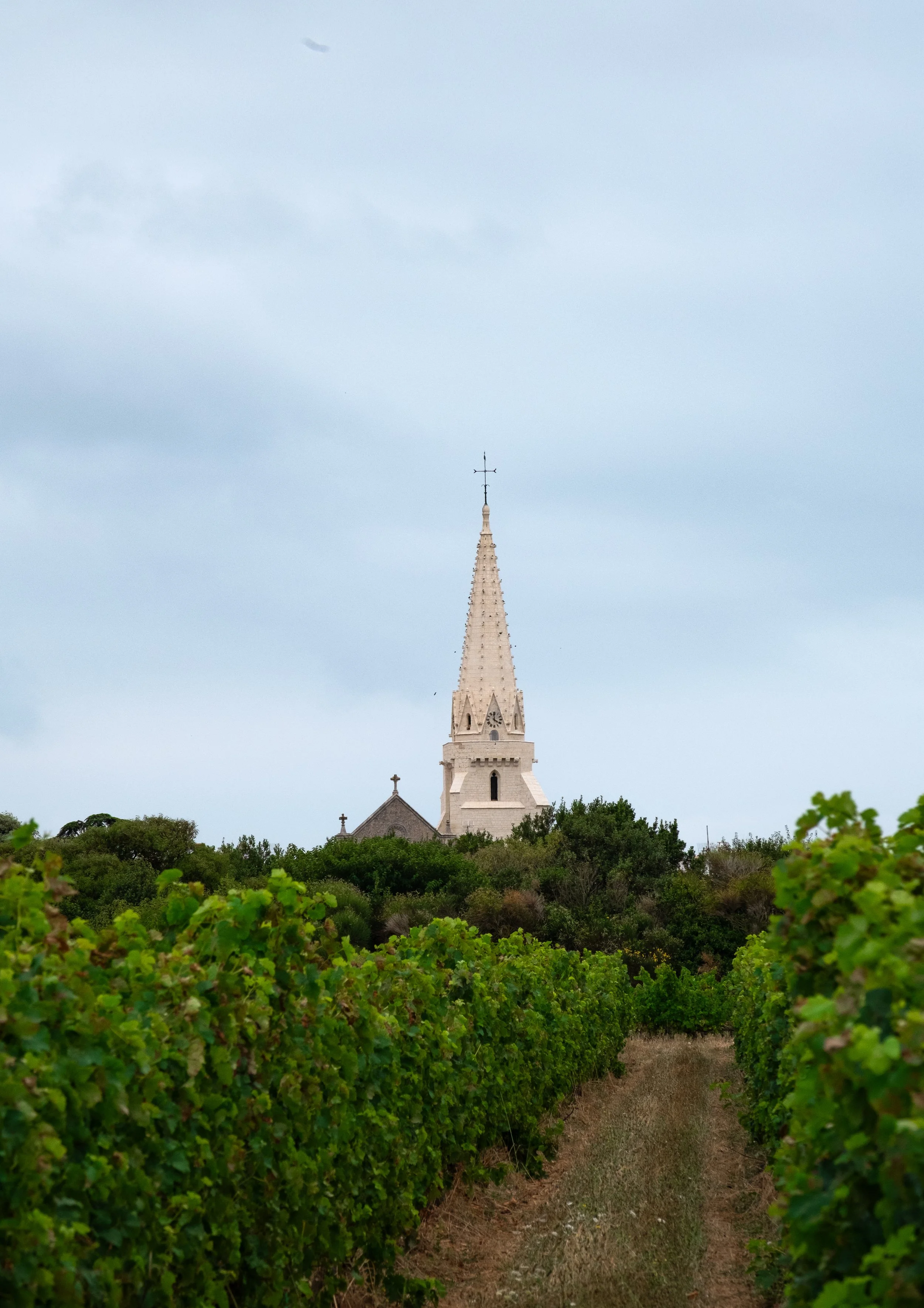 ile de Ré 2024-6.jpg