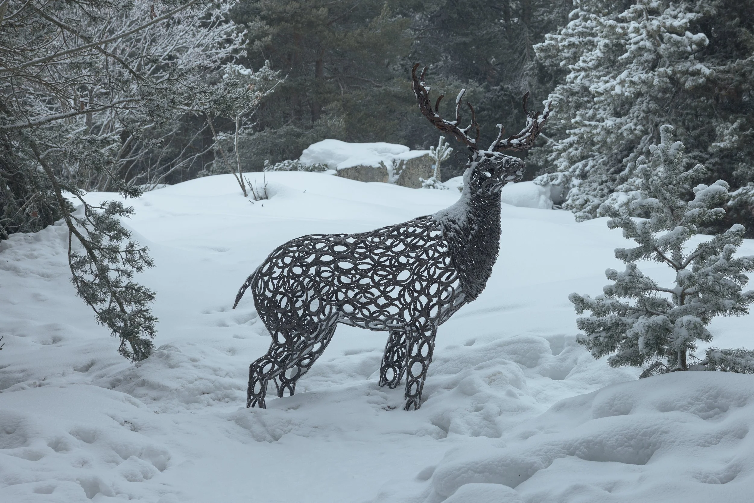 Font Romeu 2026-79.jpg