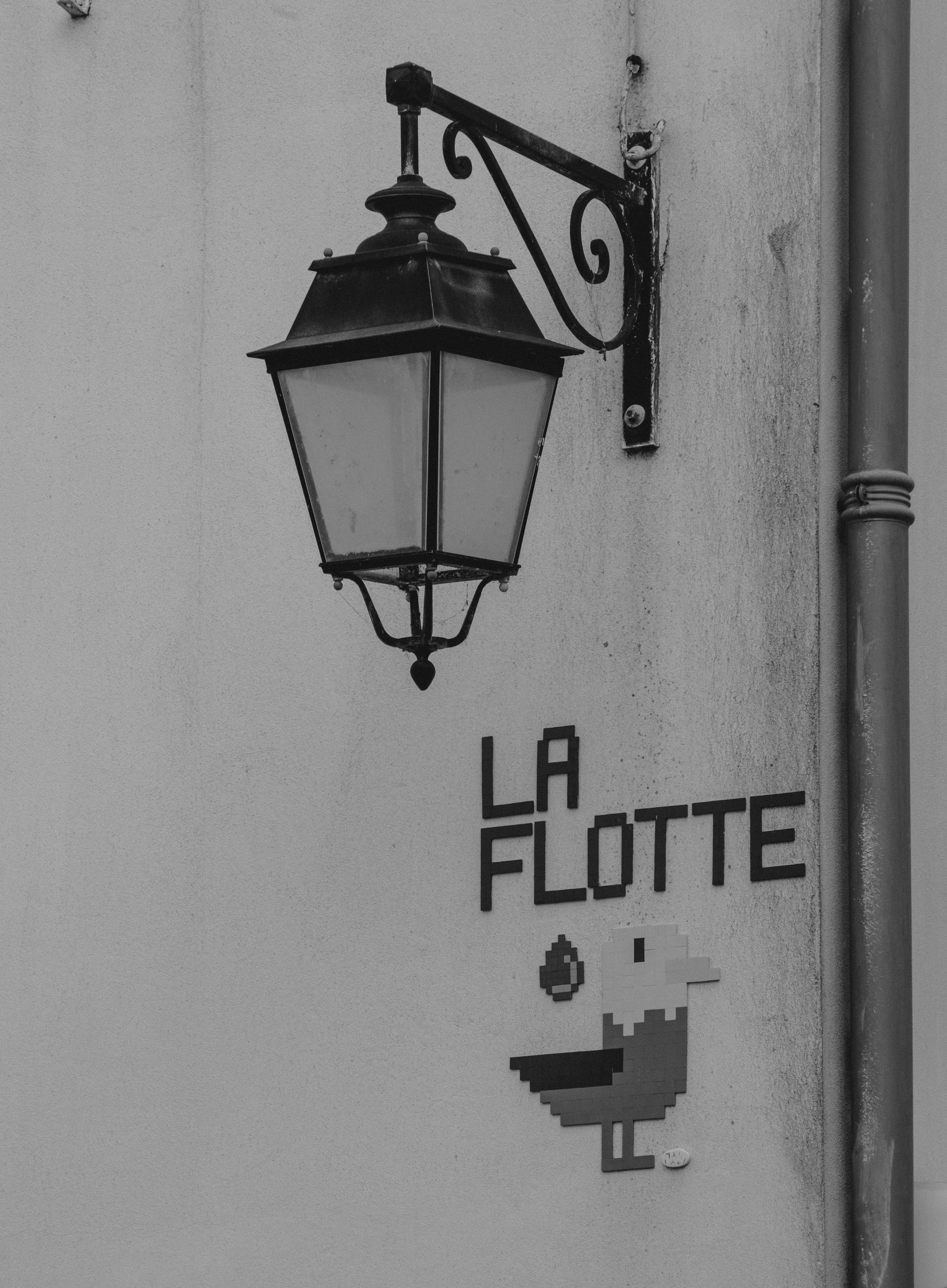 ile de Ré 2024-8.jpg