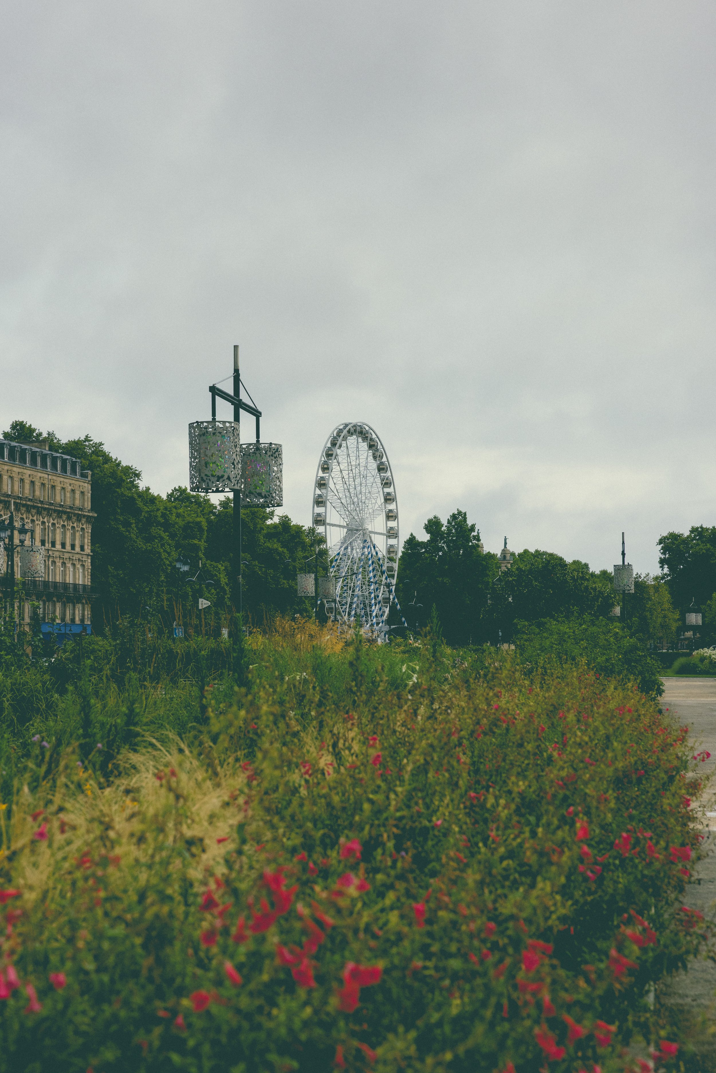 POLAROID SERIES-3.jpg