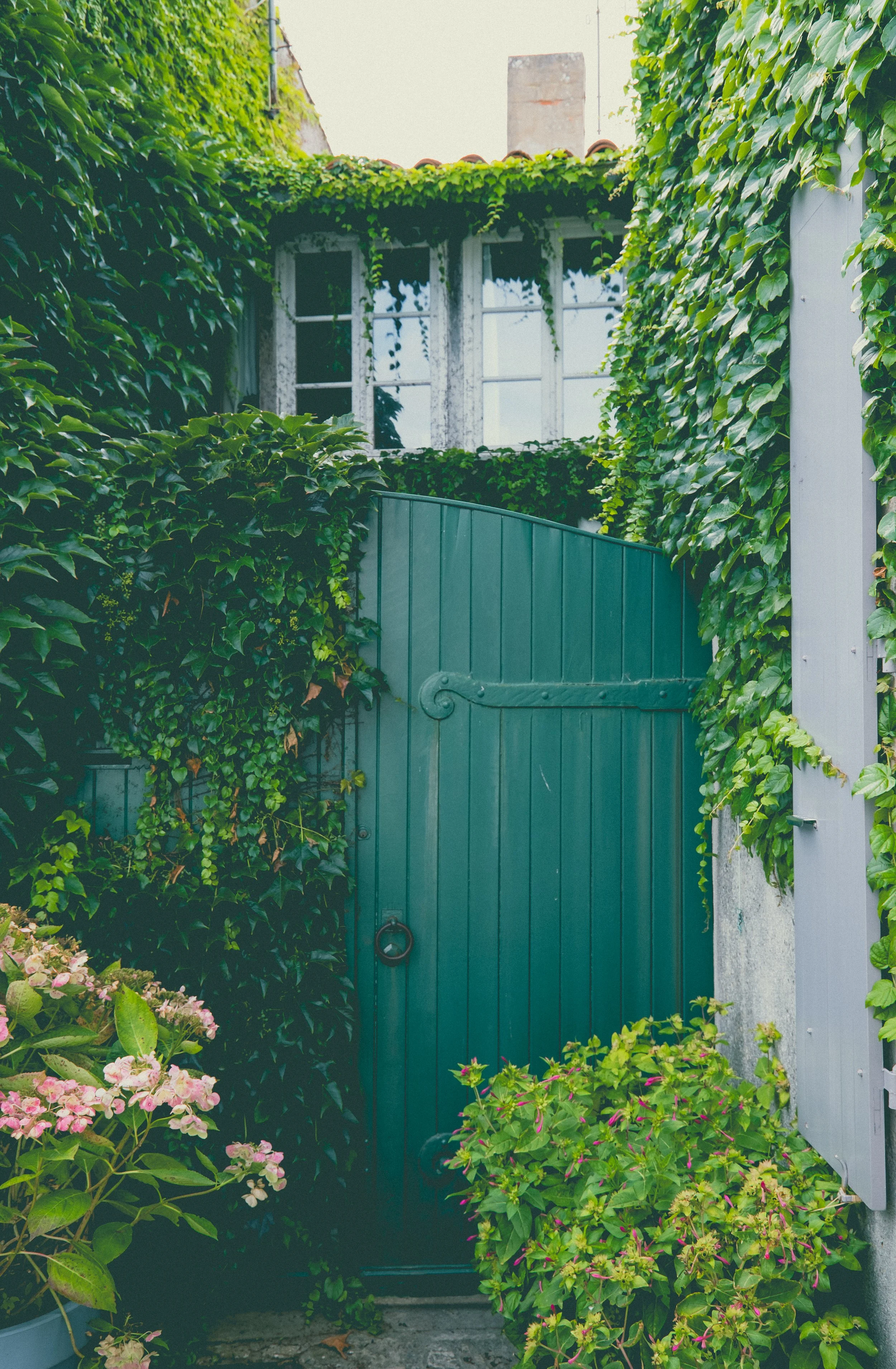 ile de Ré 2024-36.jpg