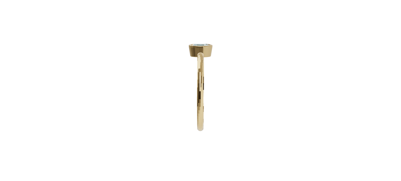 European Ring (copy) (4).png