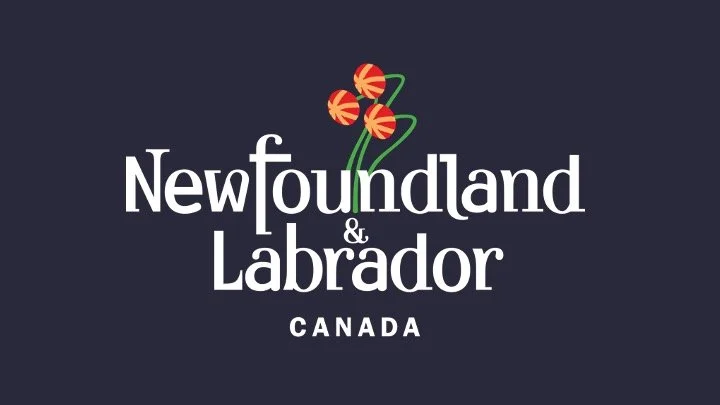 Banyan Joins NL Health Services' Agency Roster in First Canadian Market Win