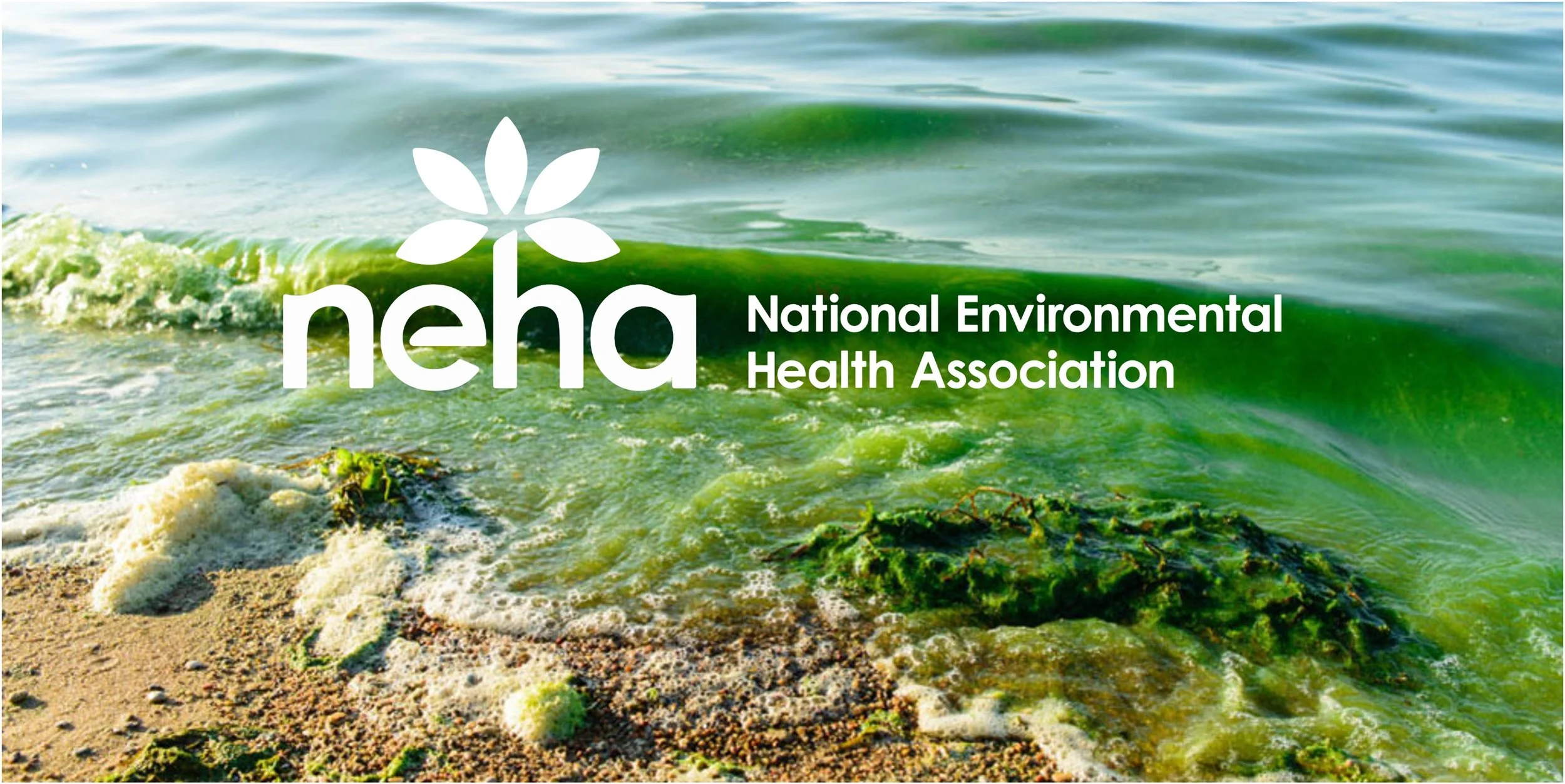 Banyan Co-Authors Research on Harmful Algal Bloom Communications