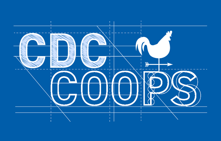CDC DFWED Selects Banyan to Continue Strategic Communications Partnership