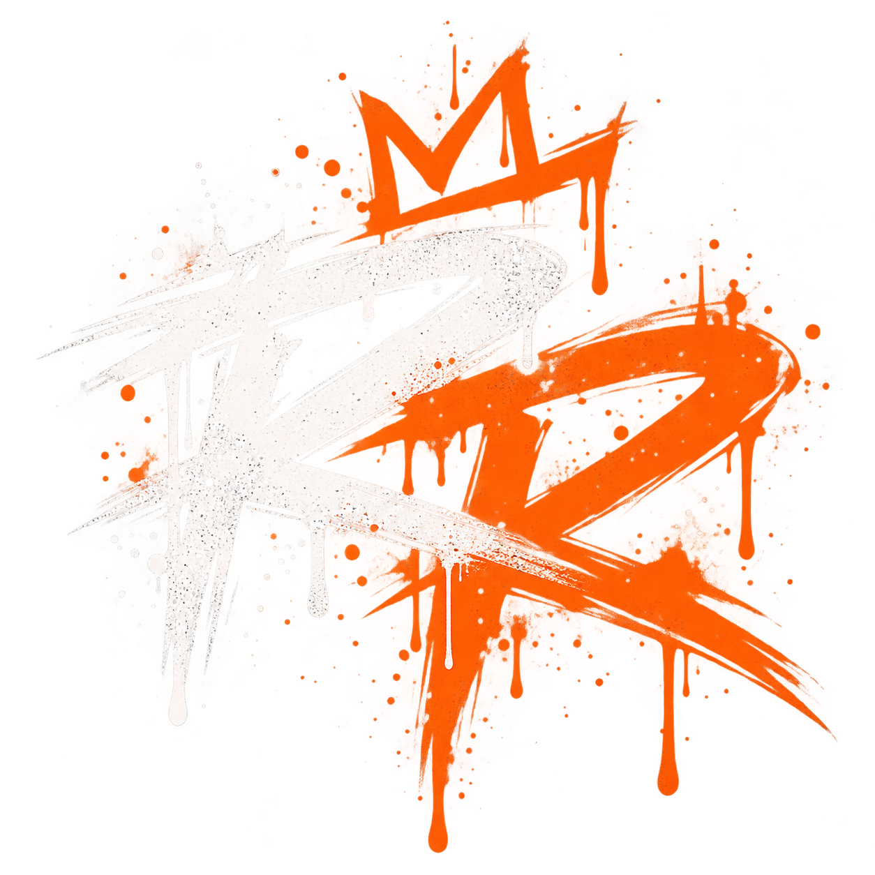 The Rtist Experience
