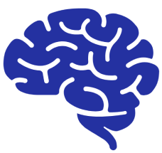 Illustration of a human brain in blue.
