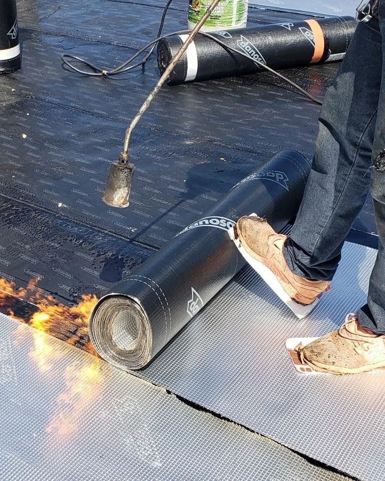 WhatsApp Image 2025-01-09 at 10.20.03 PM.jpg