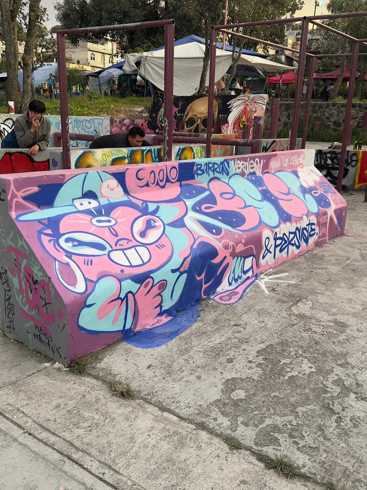 Ac&aacute; les comparto unas tomas bien bonitas desde el ojito de 📸 @zigsac_ de la pinta de Barras Verdes en el baaarrio ✨💖🥰✨ 
.
&iexcl;Espero les haya gustado! 
.
&iquest;Si les inspira a treparse a las barras &oacute; les pinto un minion mamado?