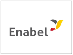 Logo met de tekst 'Enabel' en een abstracte grafische vlek met geel, zwart en rood.